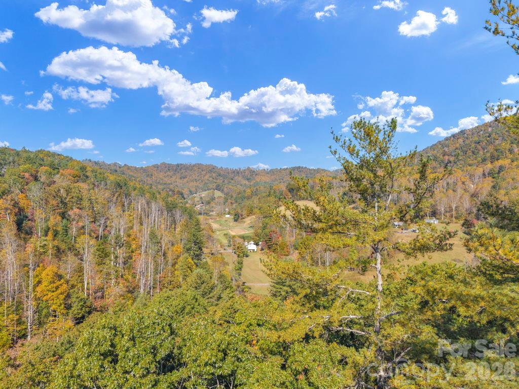 Acreage at 000 Hamburg Road, Bakersville, photo 3 of 24