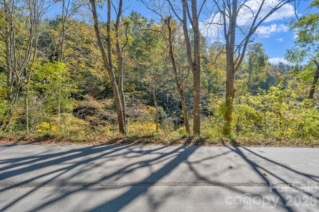 Acreage at 000 Hamburg Road, Bakersville, photo 7 of 24