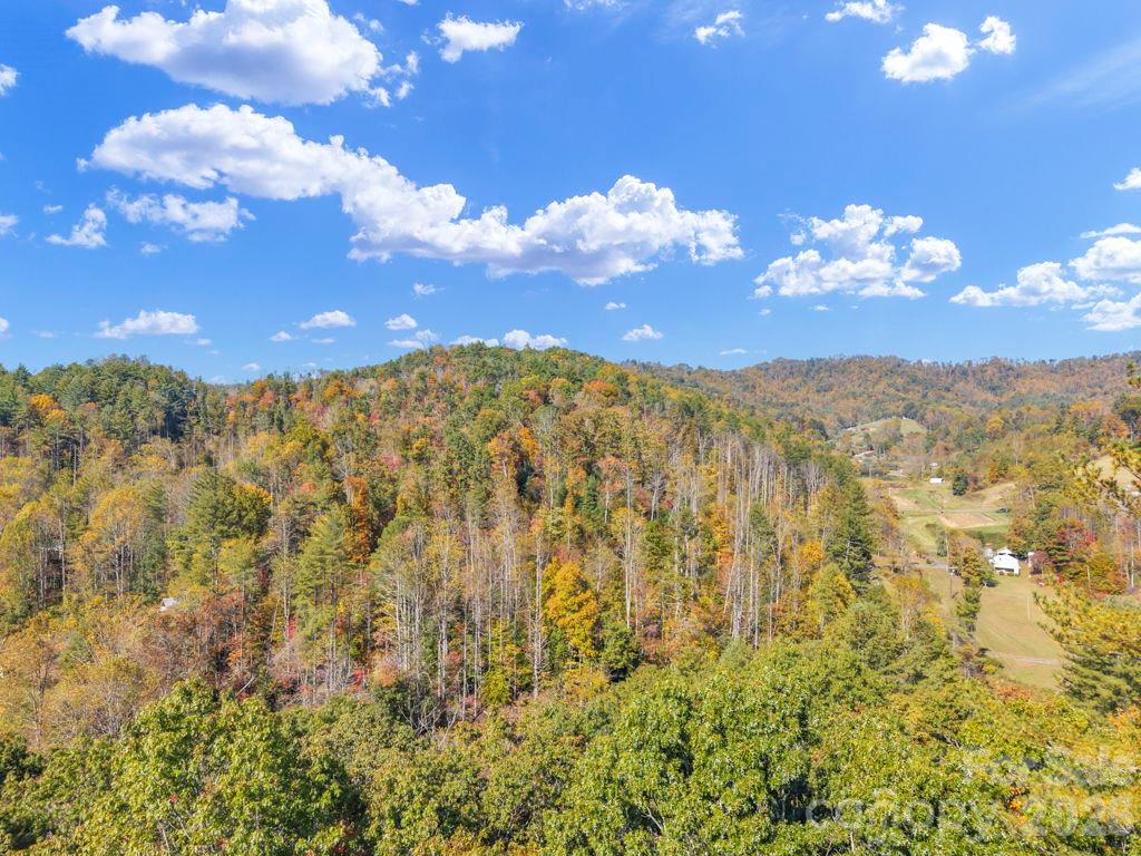 Acreage at 000 Hamburg Road, Bakersville, photo 10 of 24