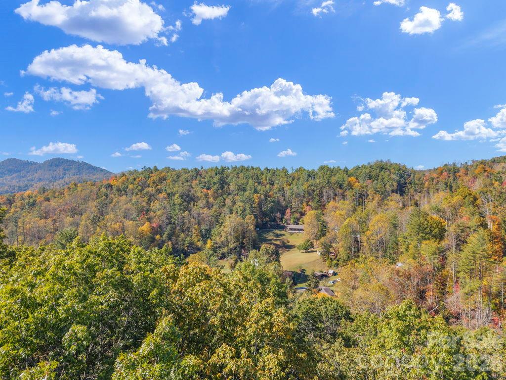 Acreage at 000 Hamburg Road, Bakersville, photo 11 of 24