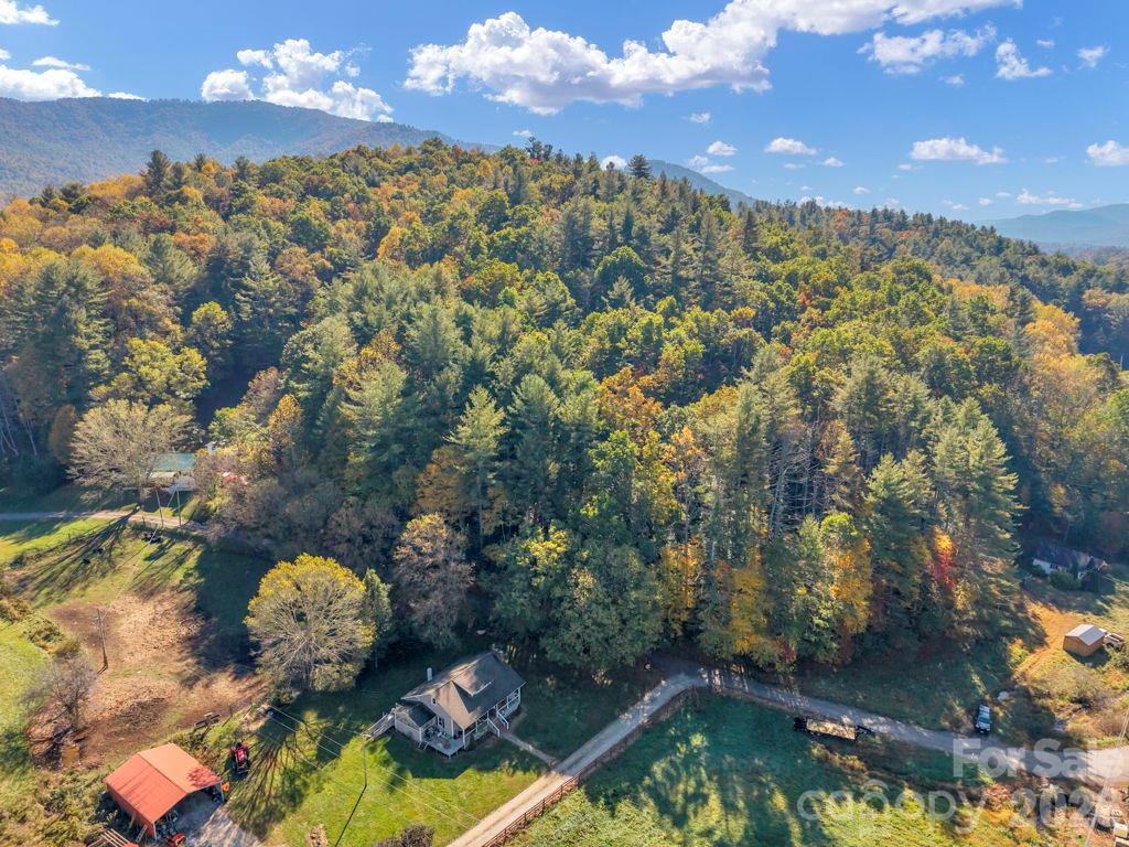 Acreage at 000 Hamburg Road, Bakersville, photo 13 of 24