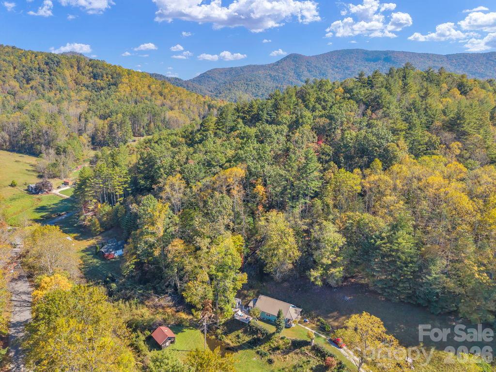Acreage at 000 Hamburg Road, Bakersville, photo 15 of 24