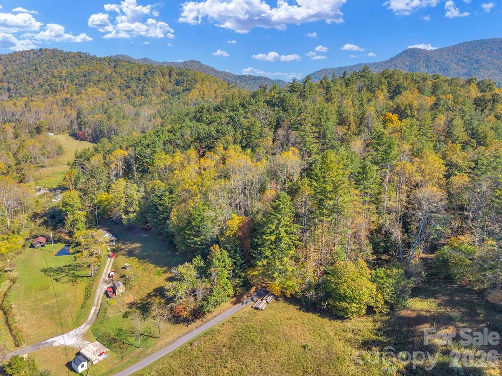 Acreage at 000 Hamburg Road, Bakersville, photo 16 of 24