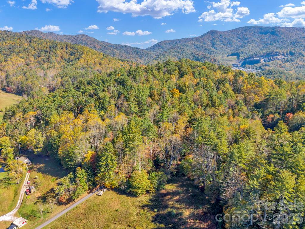 Acreage at 000 Hamburg Road, Bakersville, photo 17 of 24