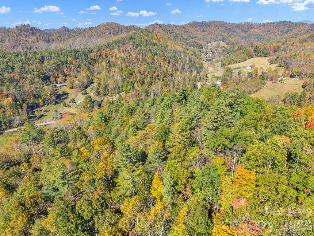 Acreage at 000 Hamburg Road, Bakersville, photo 18 of 24