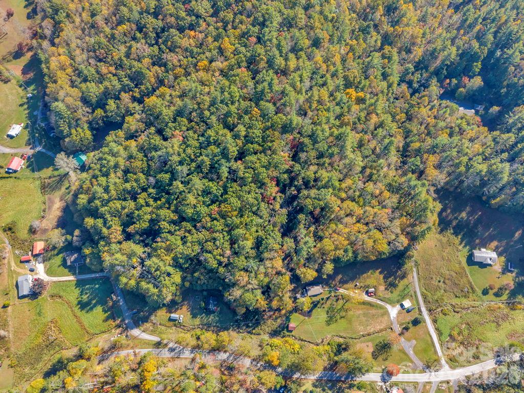 Acreage at 000 Hamburg Road, Bakersville, photo 19 of 24