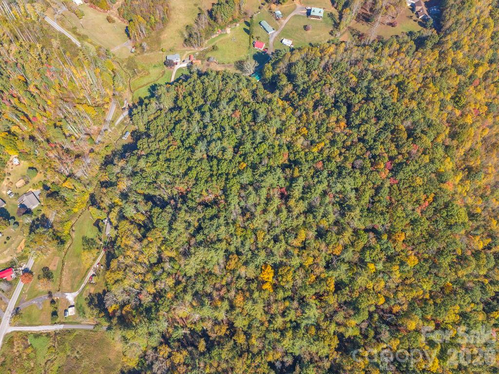 Acreage at 000 Hamburg Road, Bakersville, photo 20 of 24