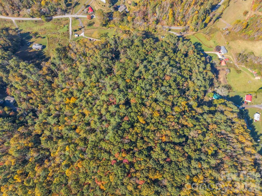 Acreage at 000 Hamburg Road, Bakersville, photo 21 of 24
