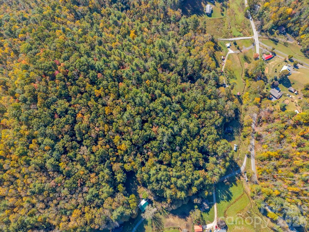 Acreage at 000 Hamburg Road, Bakersville, photo 22 of 24