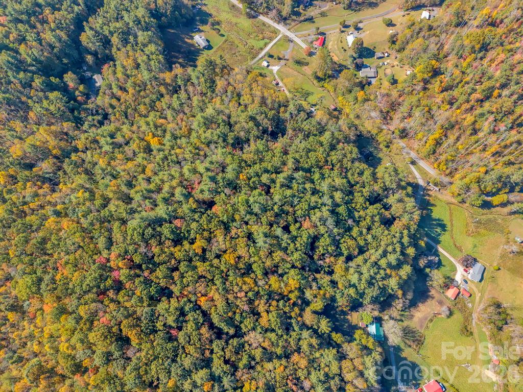 Acreage at 000 Hamburg Road, Bakersville, photo 23 of 24