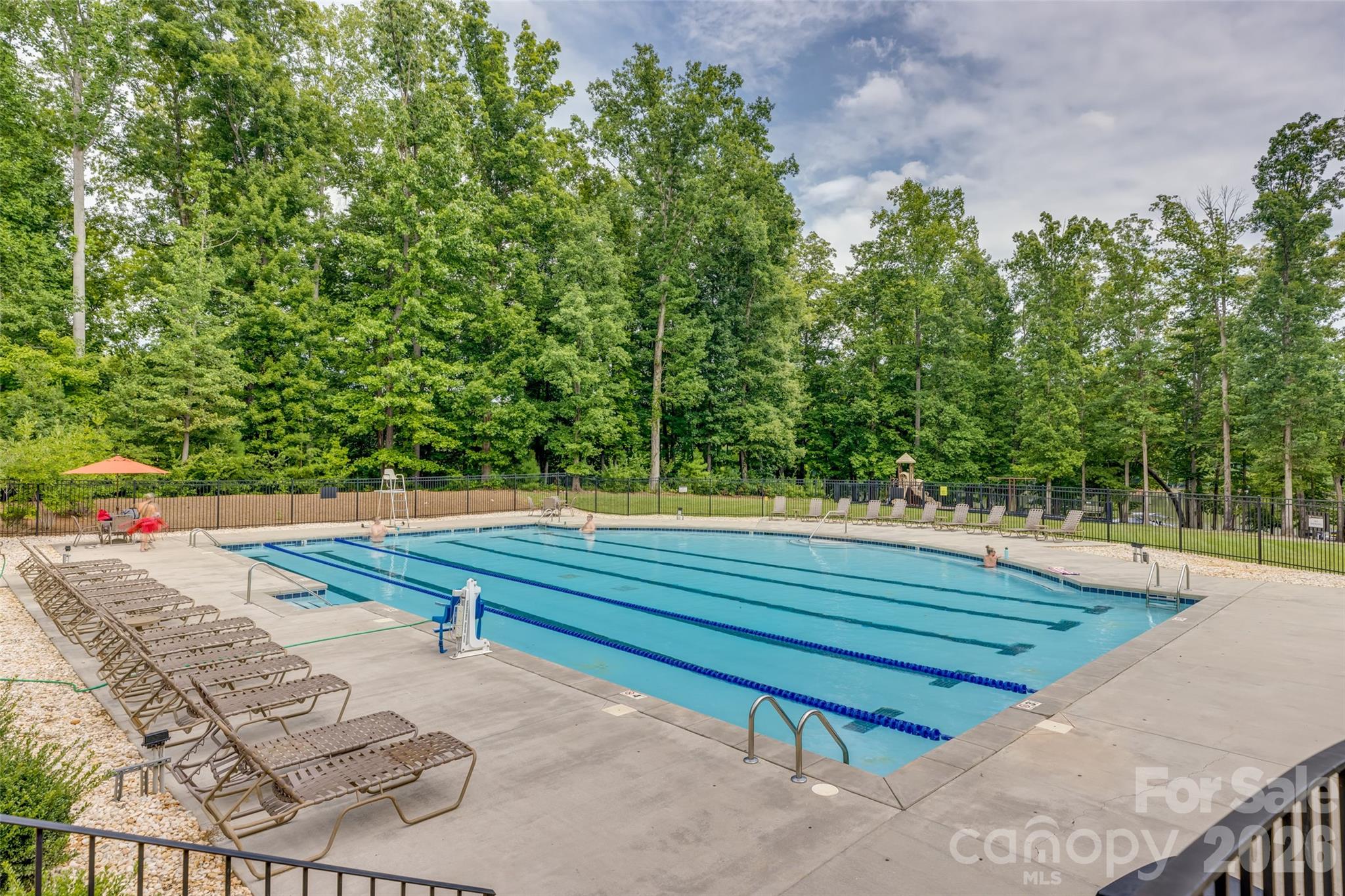 Pool - 8720 Artesa Mill Lane, Charlotte