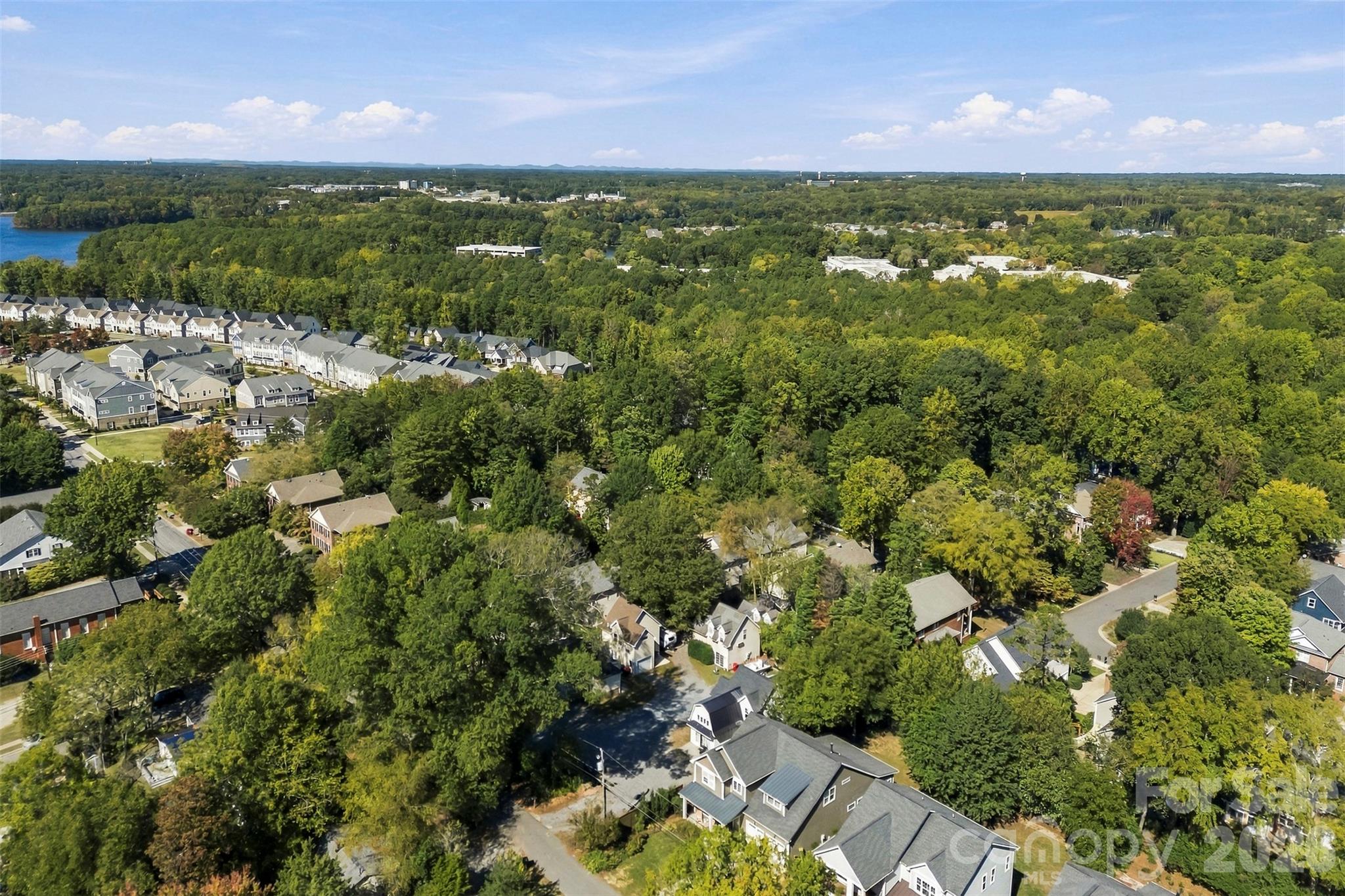 Aerial view of the surrounding neighborhood. - 220 Armour Street, Davidson