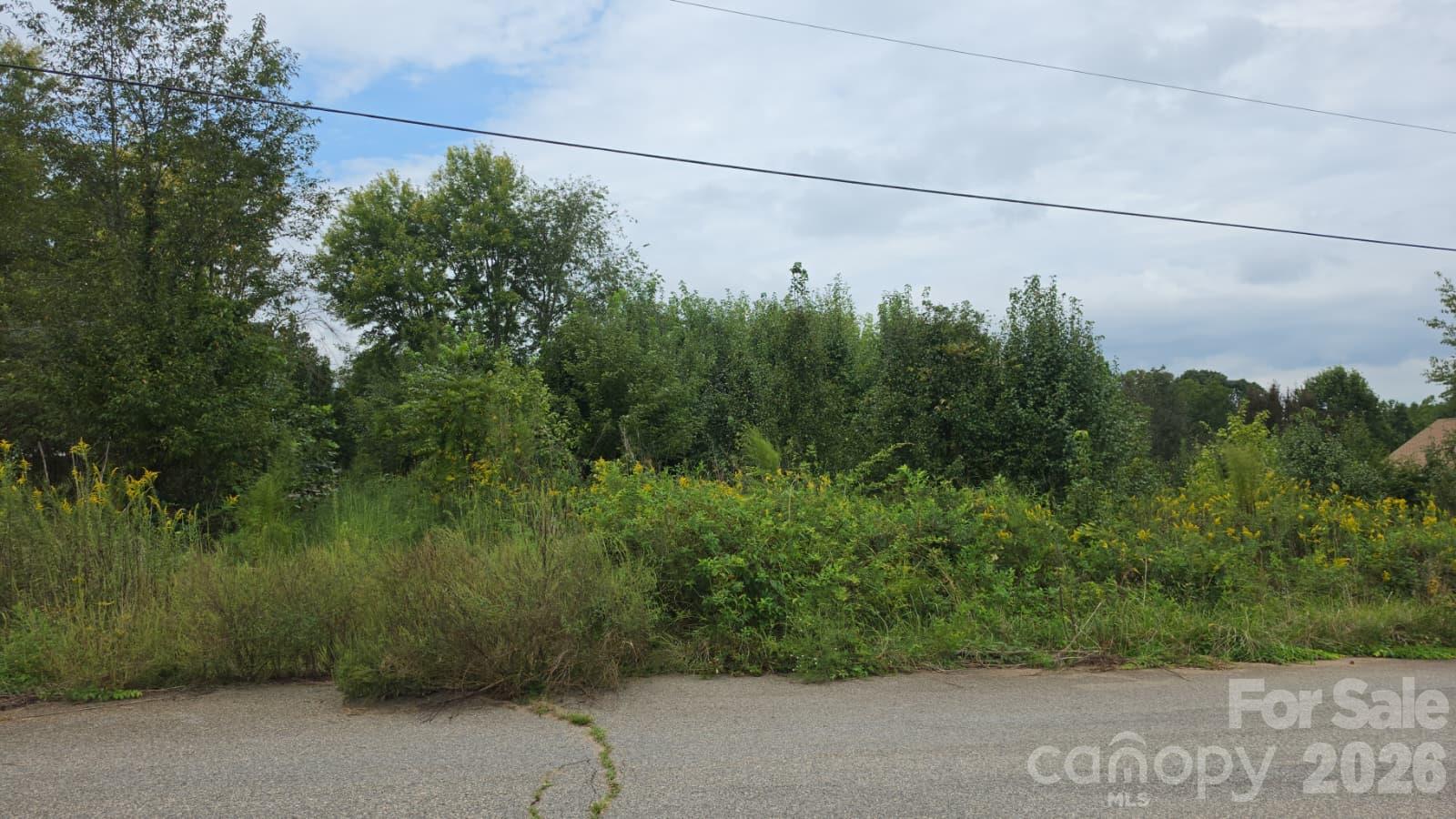 Lot at 136 Rimmer Road, Statesville, photo 3 of 4