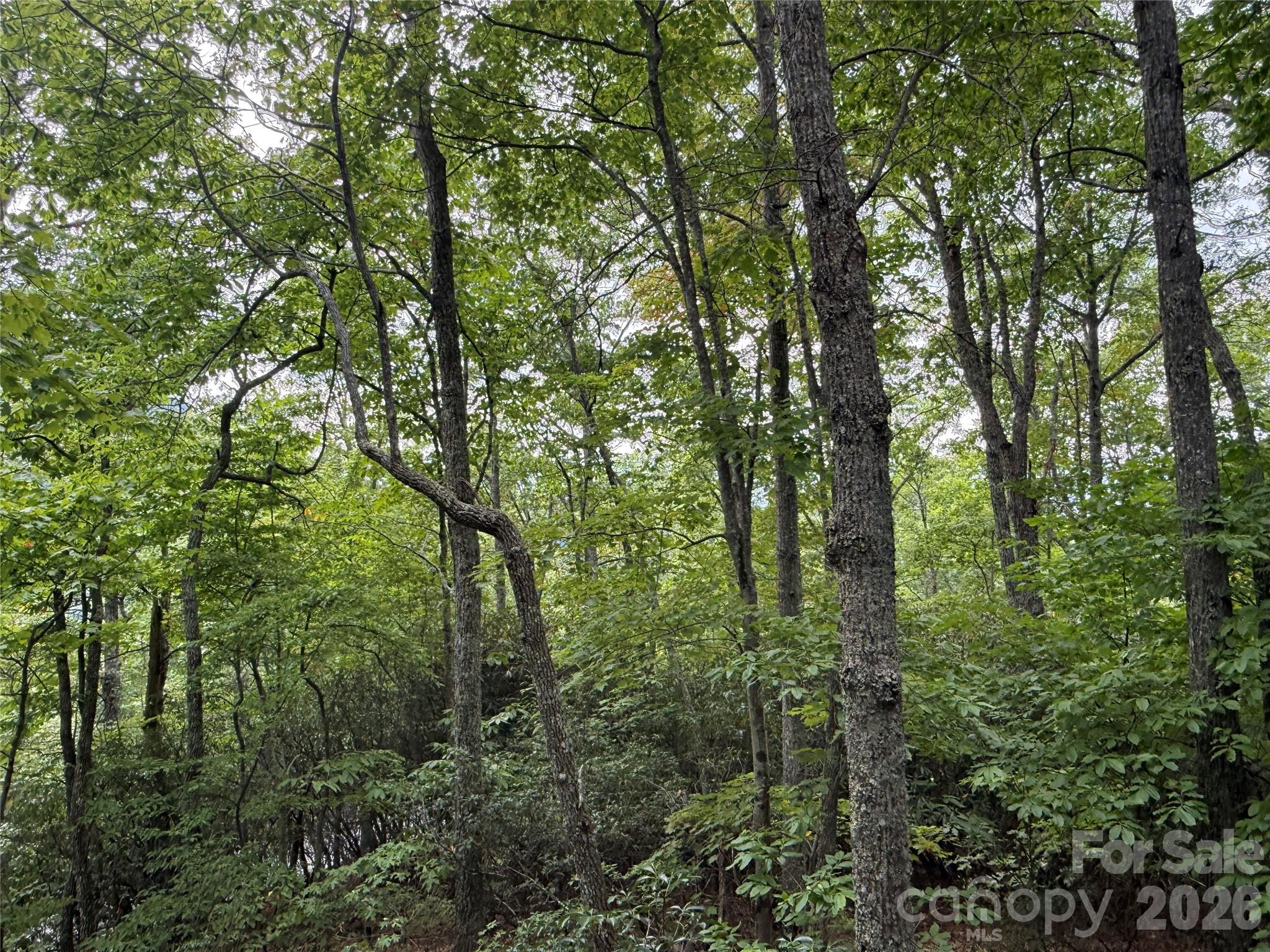 Lot at 3315 Preserve Road, Sylva, photo 2 of 22