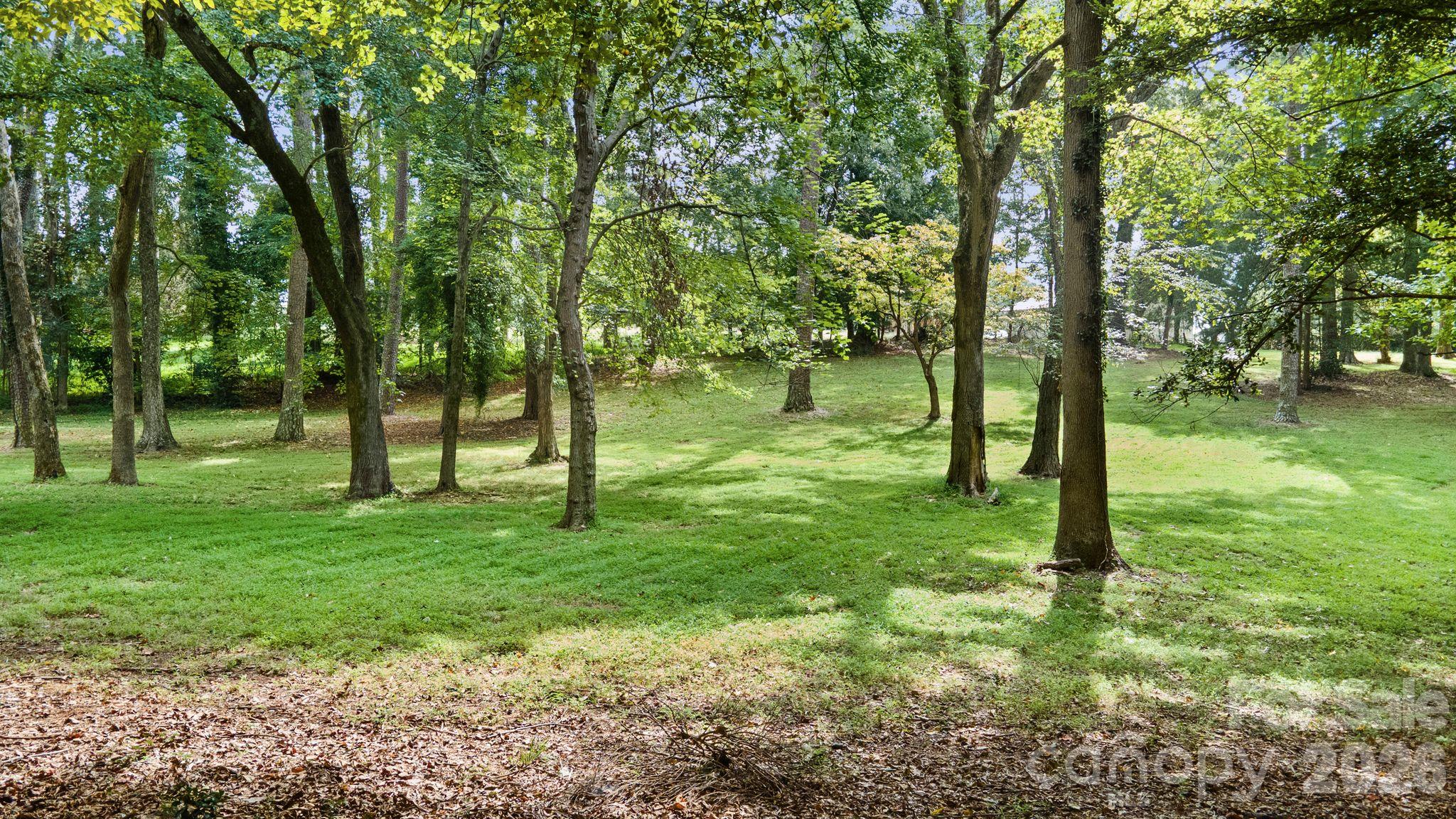 Private and wooded backyard - 2006 Grey Road, Davidson