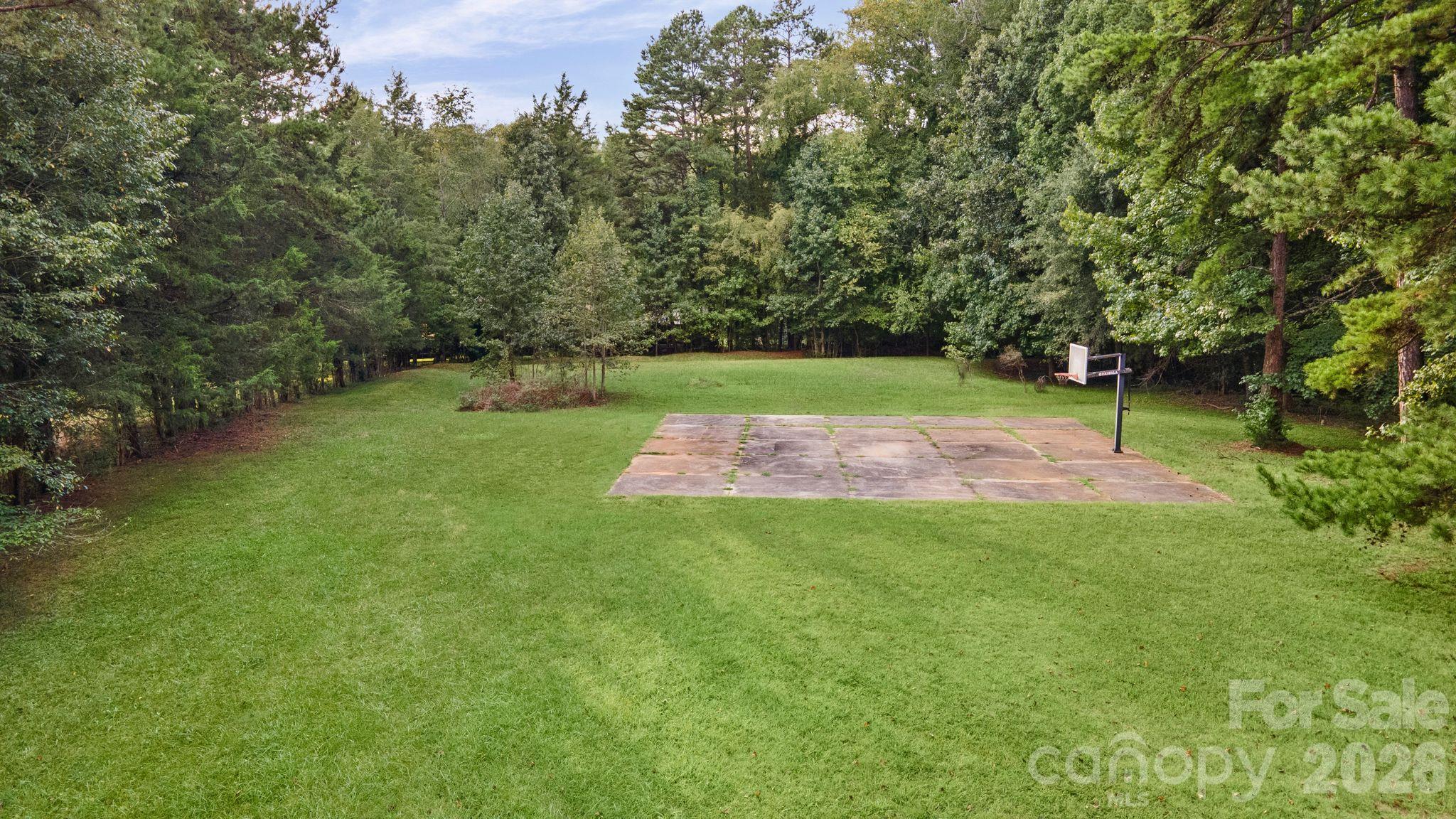 Grassy areas as well as treed areas throughout the proper - 2006 Grey Road, Davidson