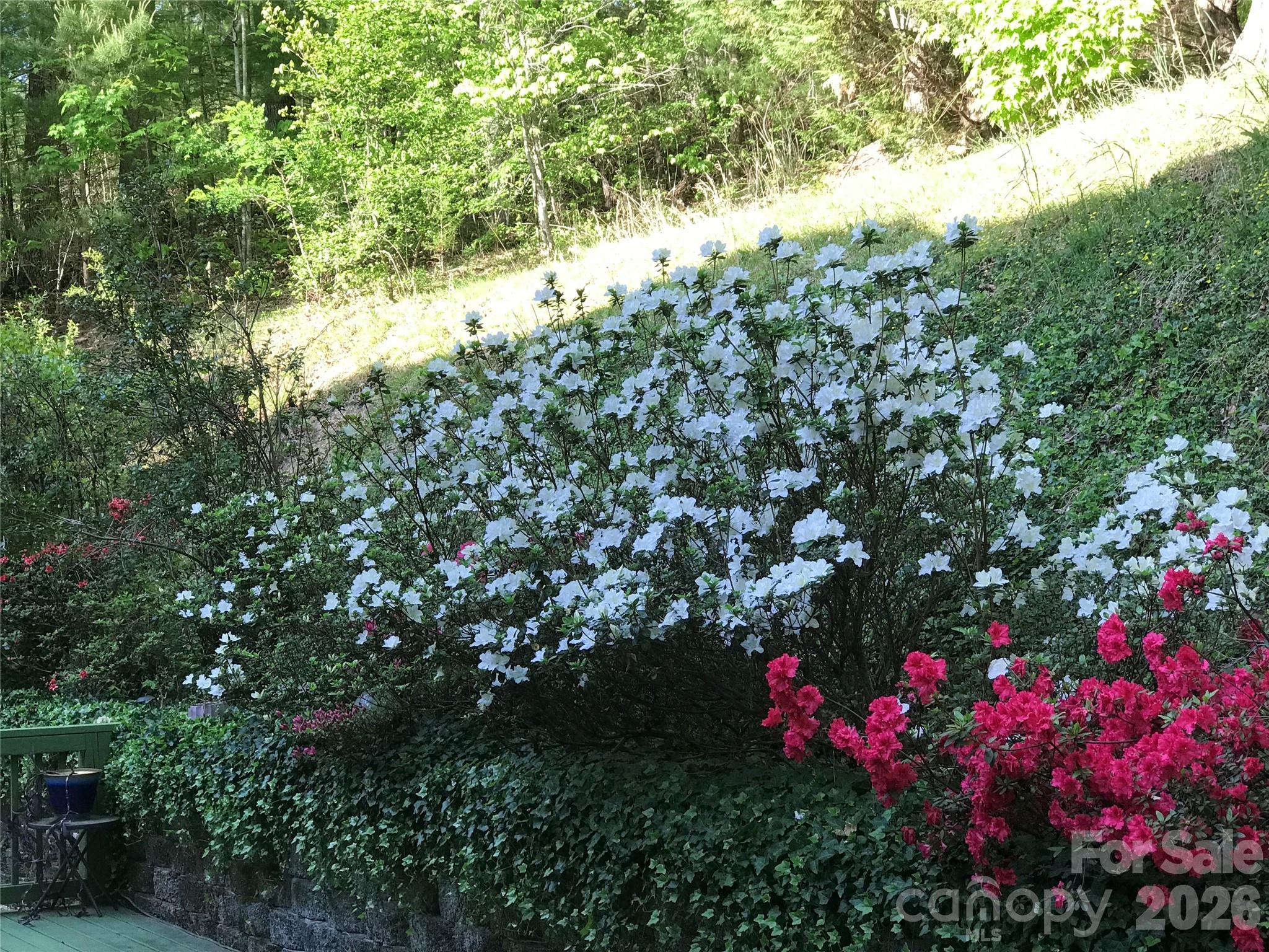 Single Family Residence at 107 Twin Courts Drive, Weaverville, photo 32 of 48