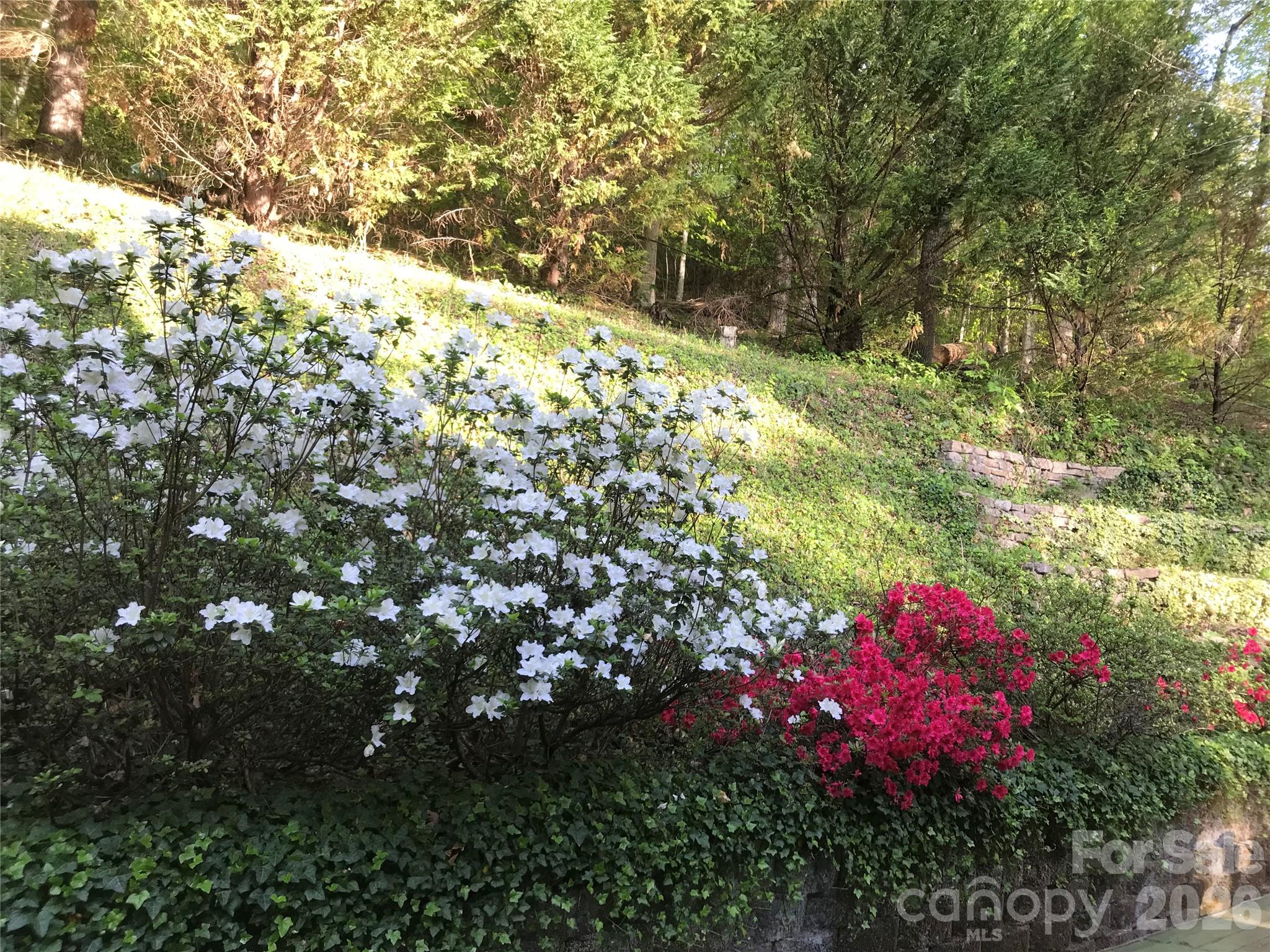 Single Family Residence at 107 Twin Courts Drive, Weaverville, photo 33 of 48