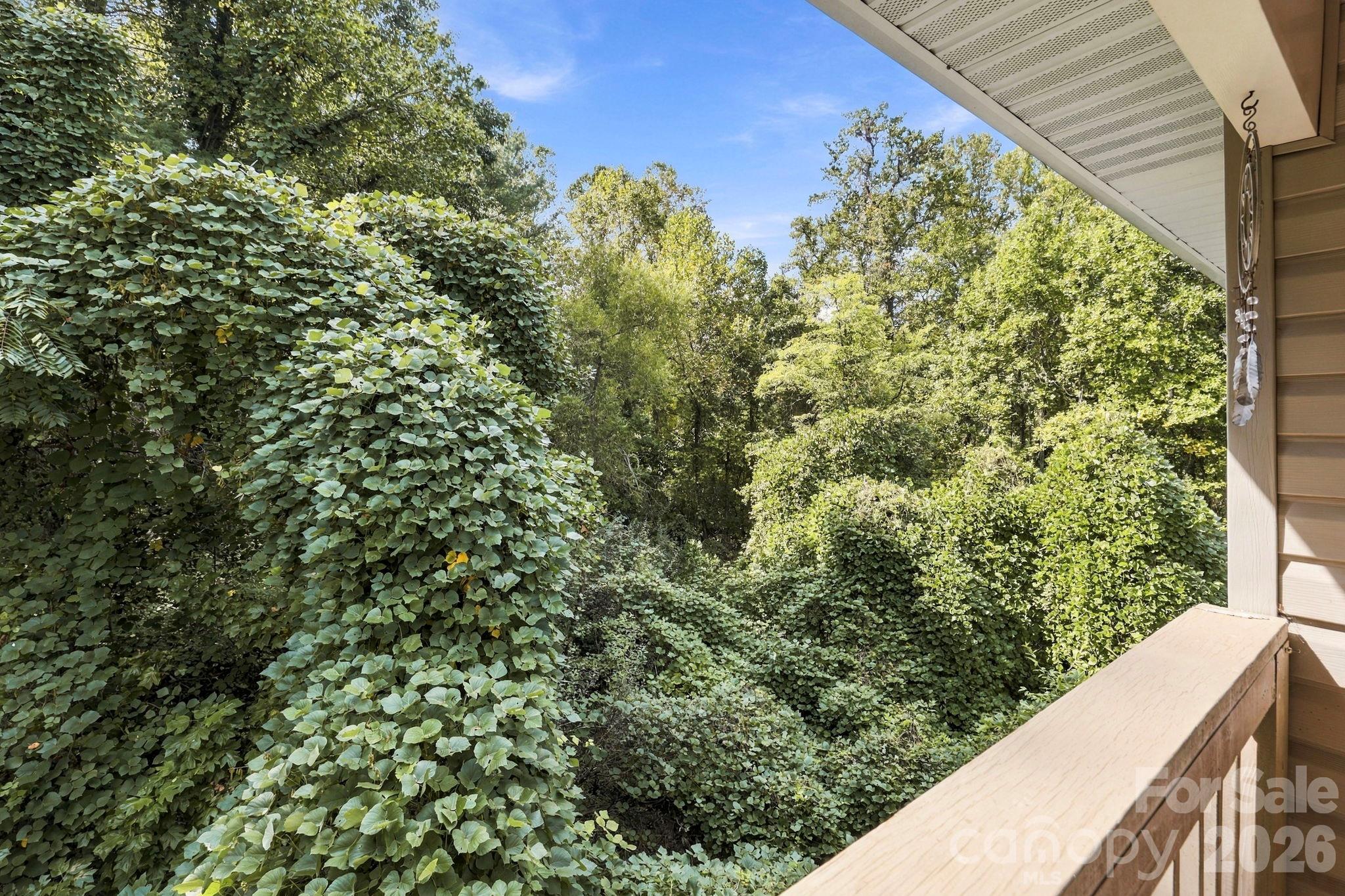Back deck with storage closet views - 805 Carlyle Way, Asheville
