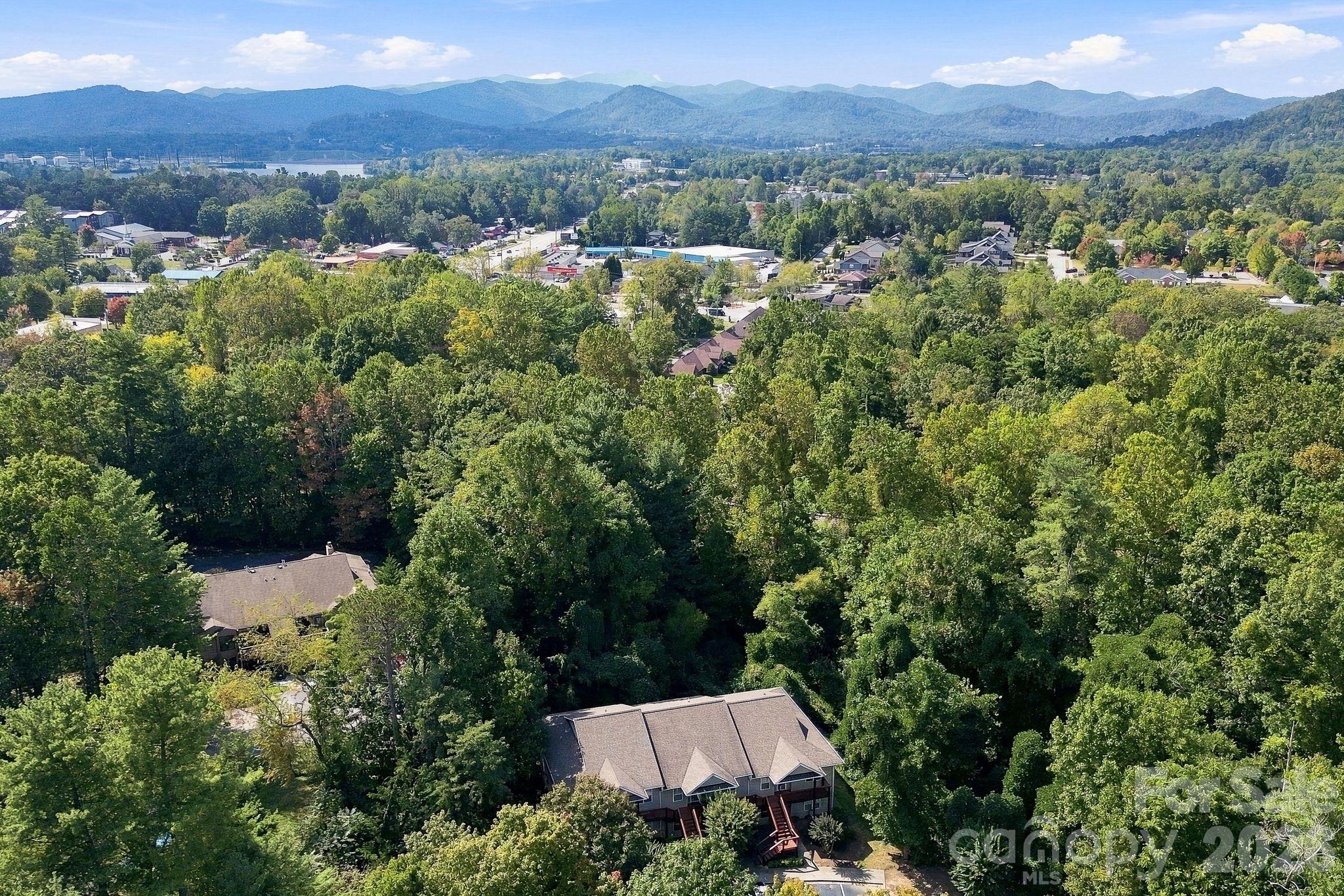 Community and Surrounding Area Aerial - 805 Carlyle Way, Asheville