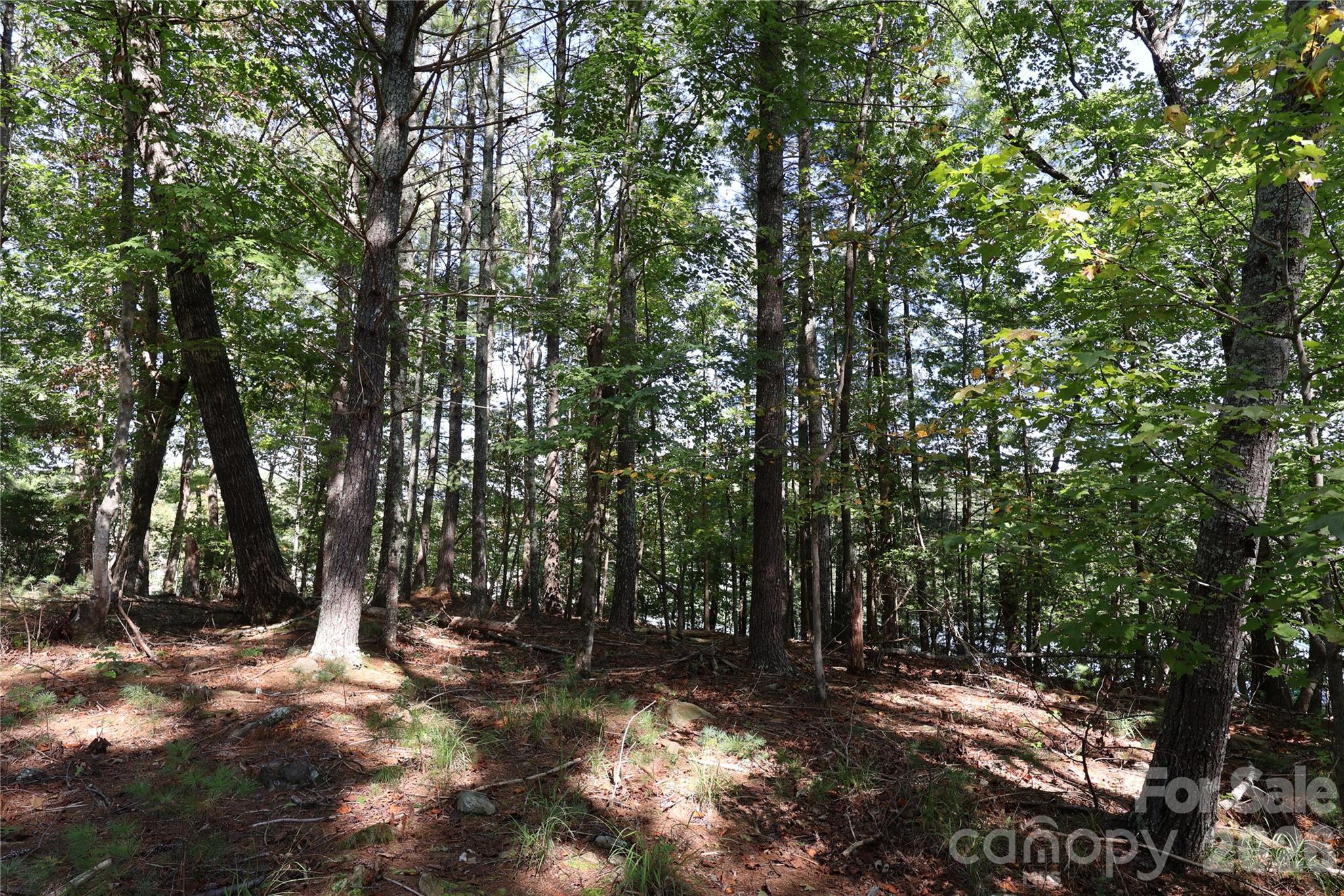 Lot interior - 25 Linville View Drive, Nebo