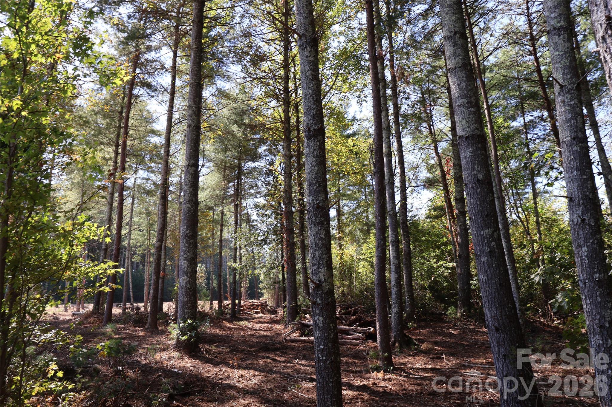 Lot Interior 2 - 25 Linville View Drive, Nebo