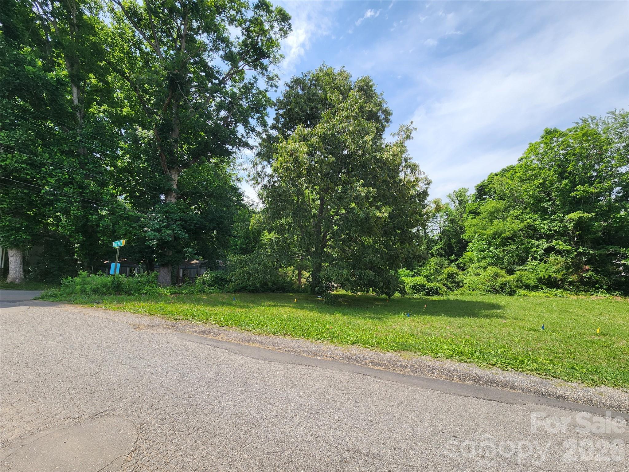 Lot at TBD Rock Hill Place, Asheville, photo 14 of 18