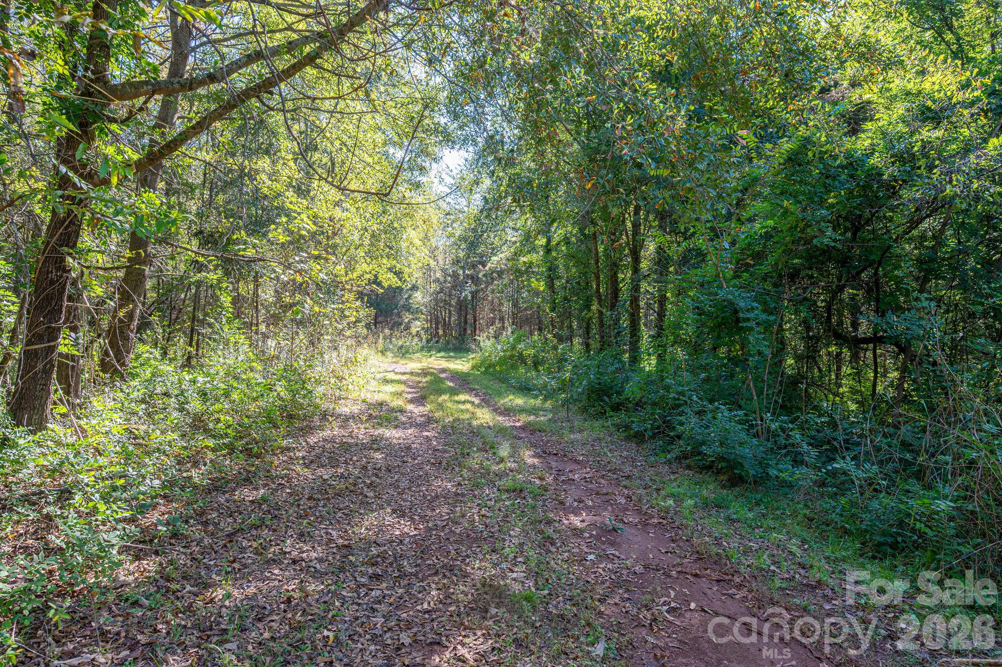 Acreage at 0 Riverview Road, Lincolnton, photo 15 of 21