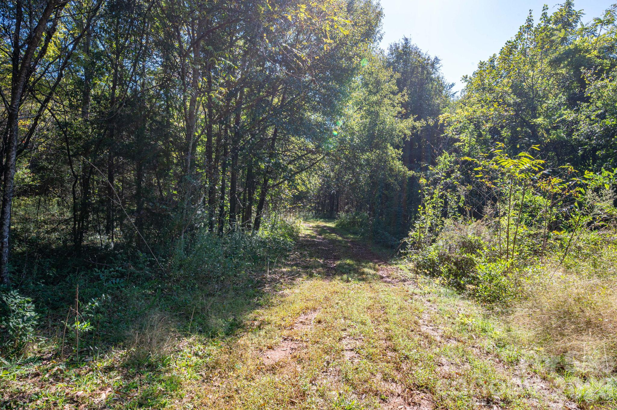 Acreage at 0 Riverview Road, Lincolnton, photo 16 of 21
