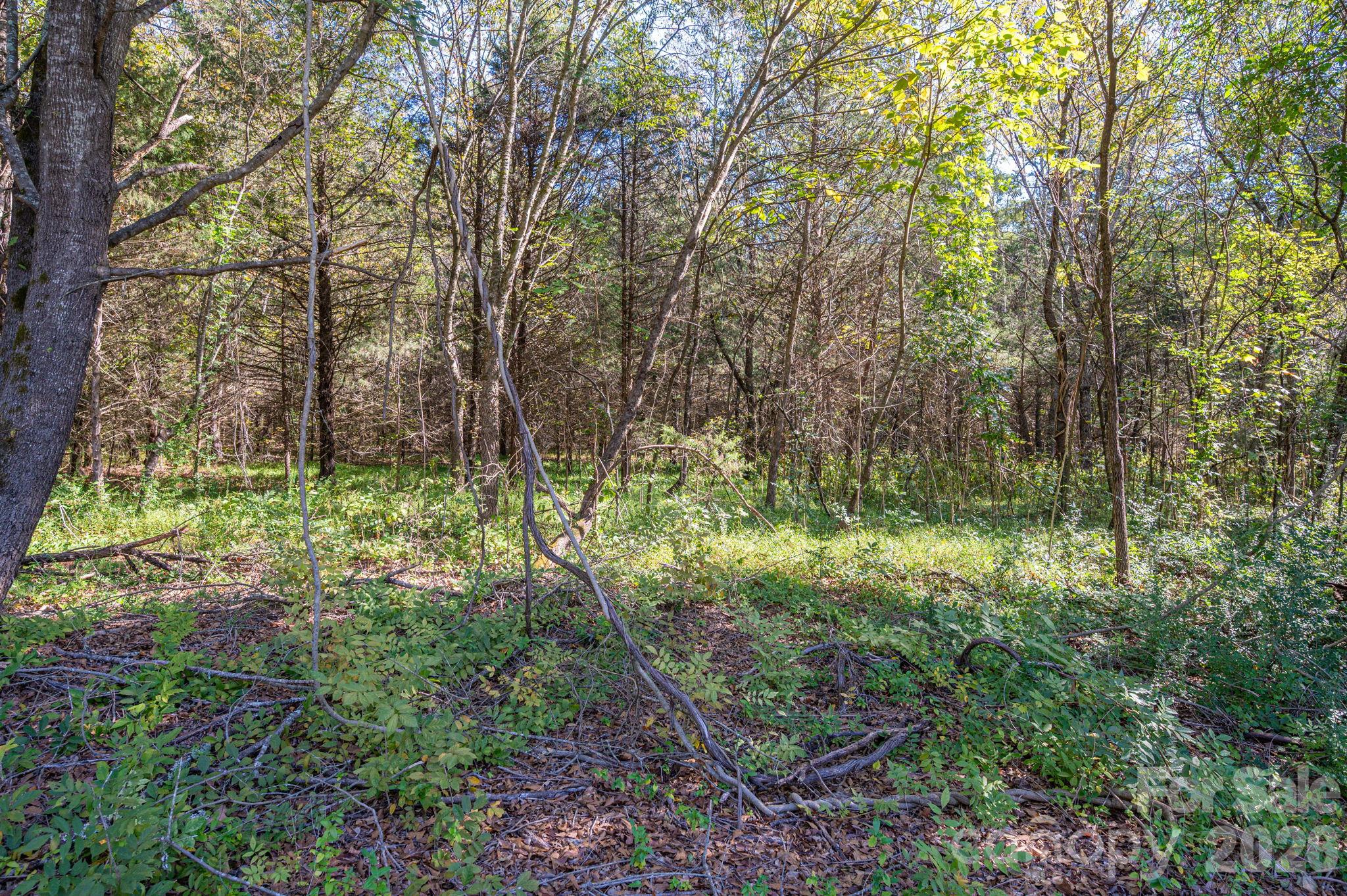 Acreage at 0 Riverview Road, Lincolnton, photo 18 of 21