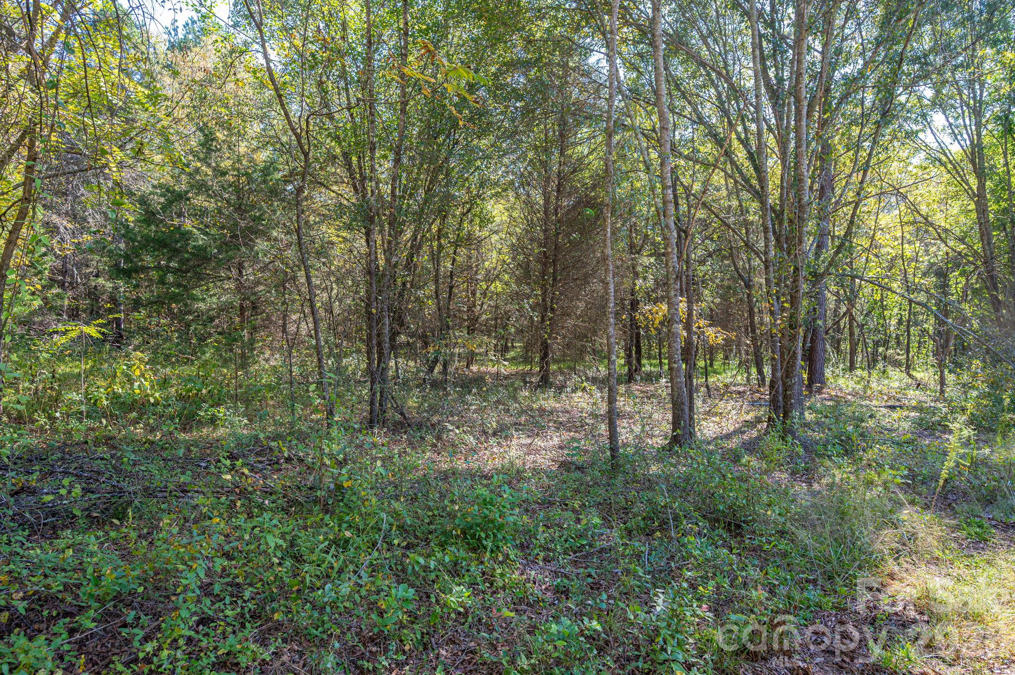 Acreage at 0 Riverview Road, Lincolnton, photo 19 of 21