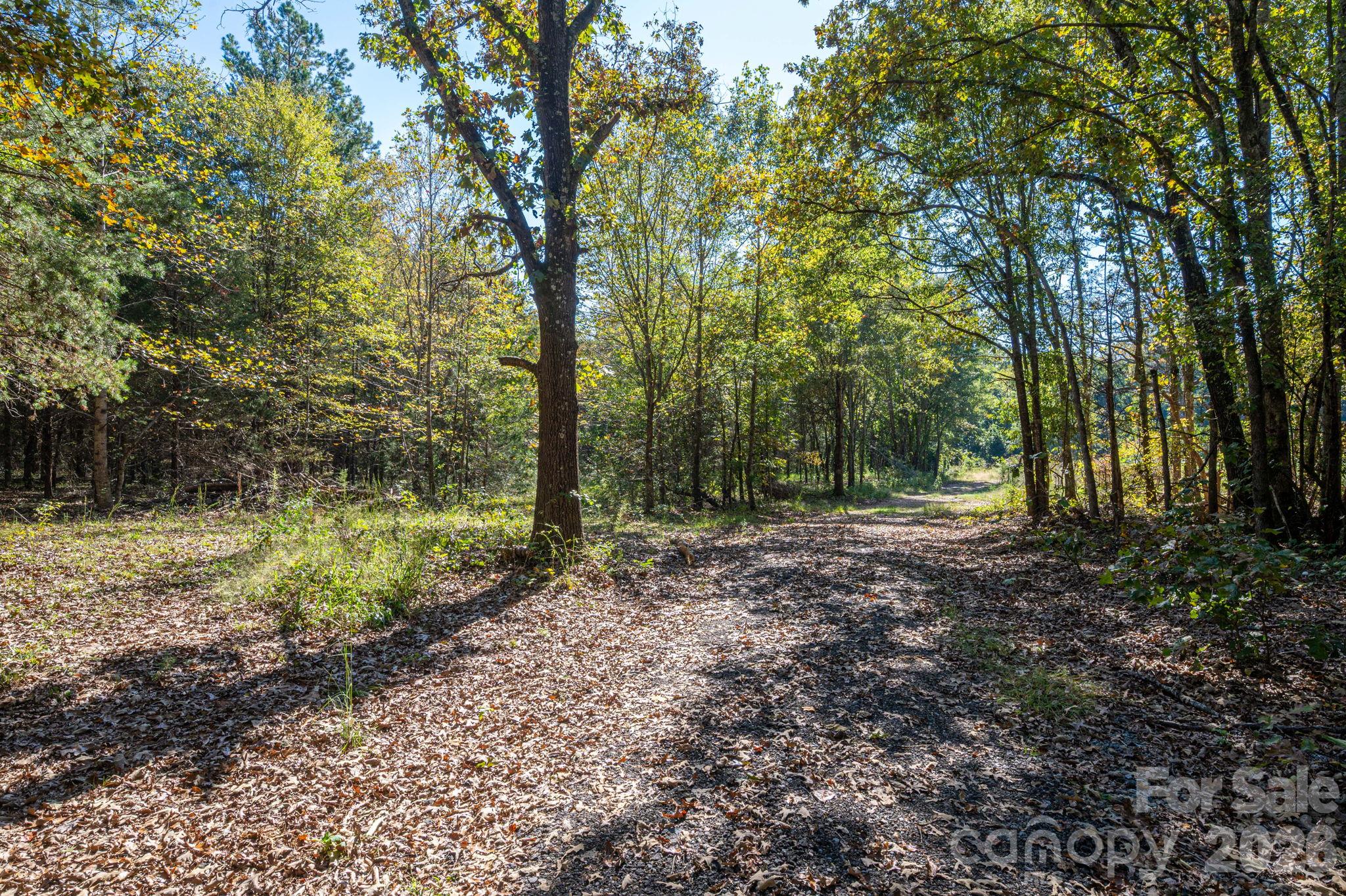 Acreage at 0 Riverview Road, Lincolnton, photo 21 of 21