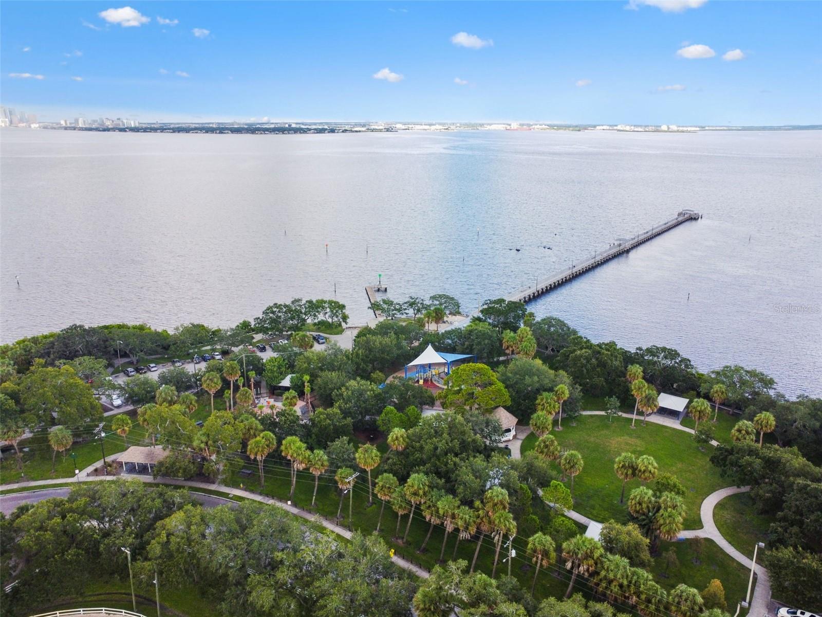 Single Family Residence at 3016 W BALLAST POINT BLVD, TAMPA, photo 50 of 62