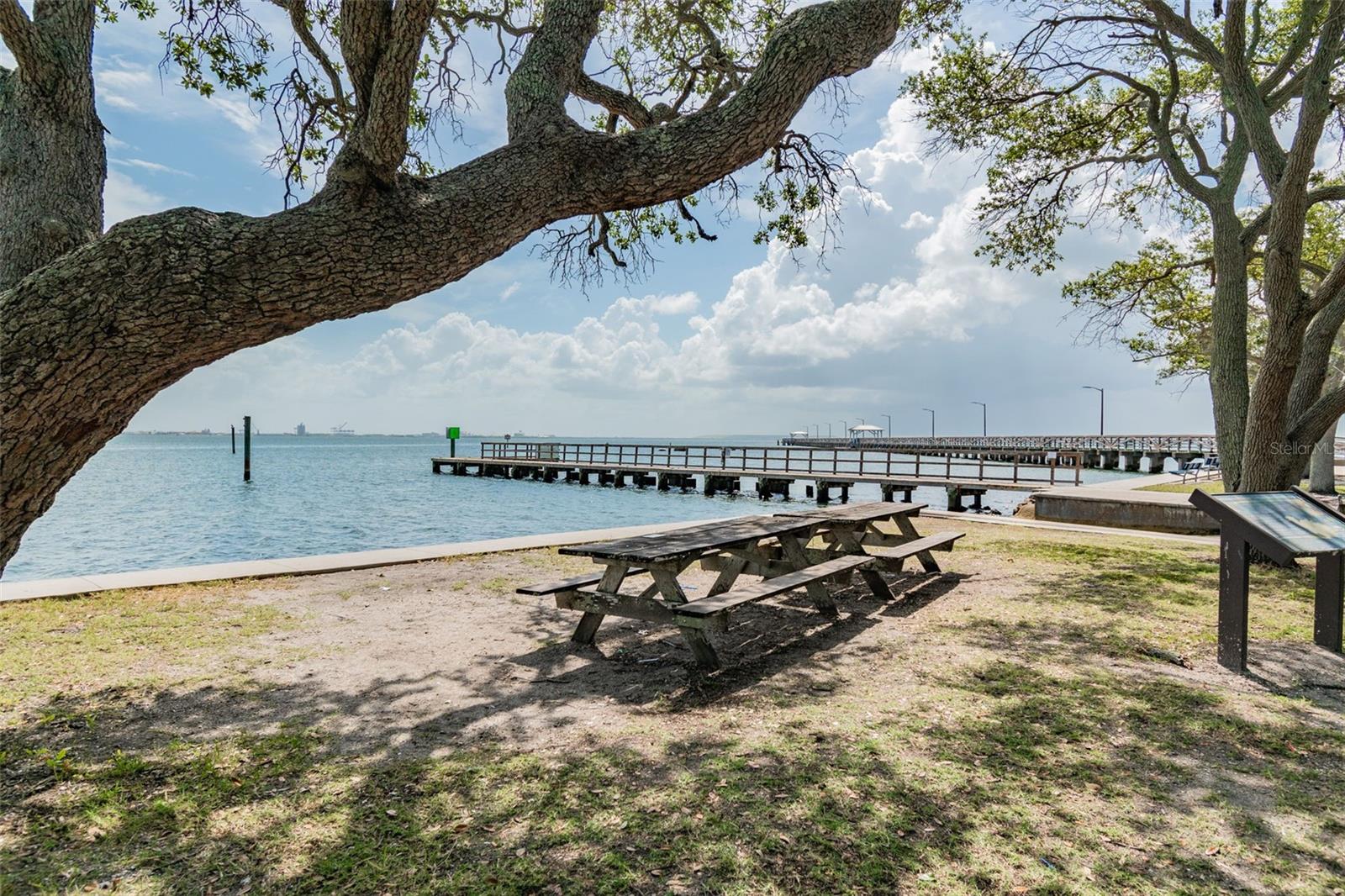 Single Family Residence at 3016 W BALLAST POINT BLVD, TAMPA, photo 57 of 62