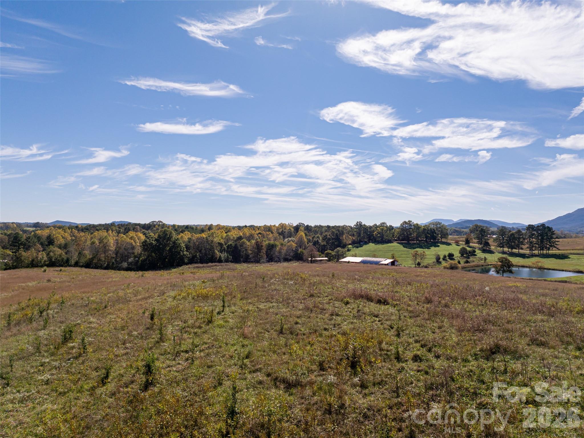 Acreage at 0 E NC Hwy 108 None, Mill Spring, photo 14 of 34