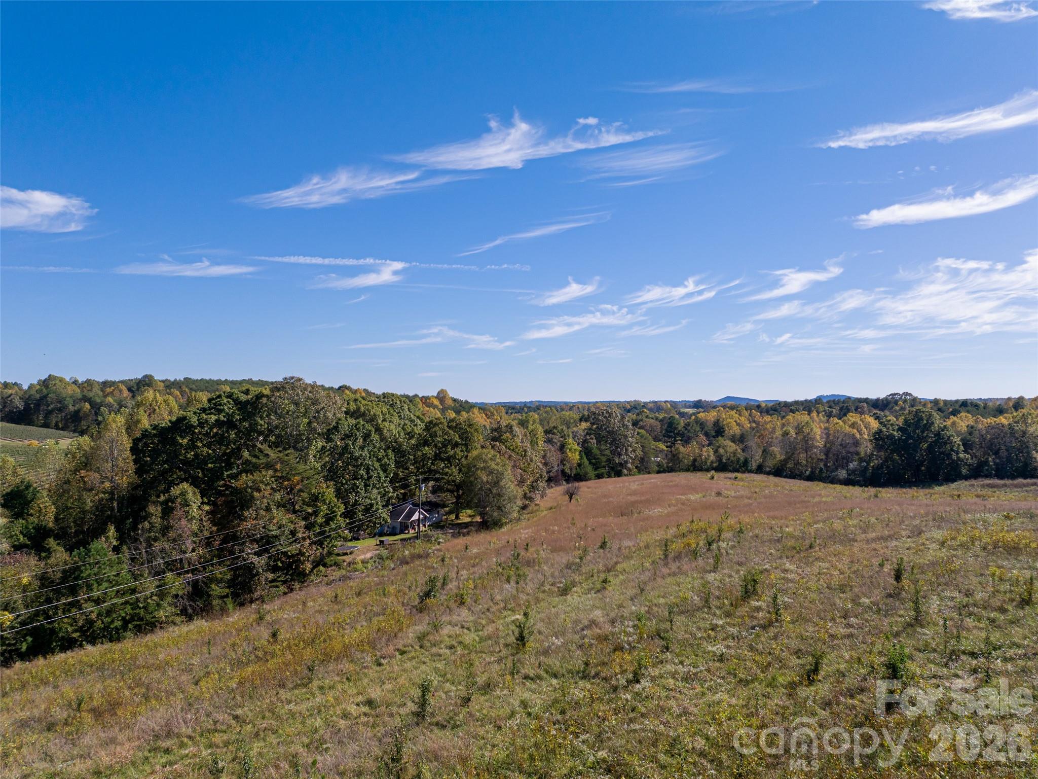 Acreage at 0 E NC Hwy 108 None, Mill Spring, photo 16 of 34