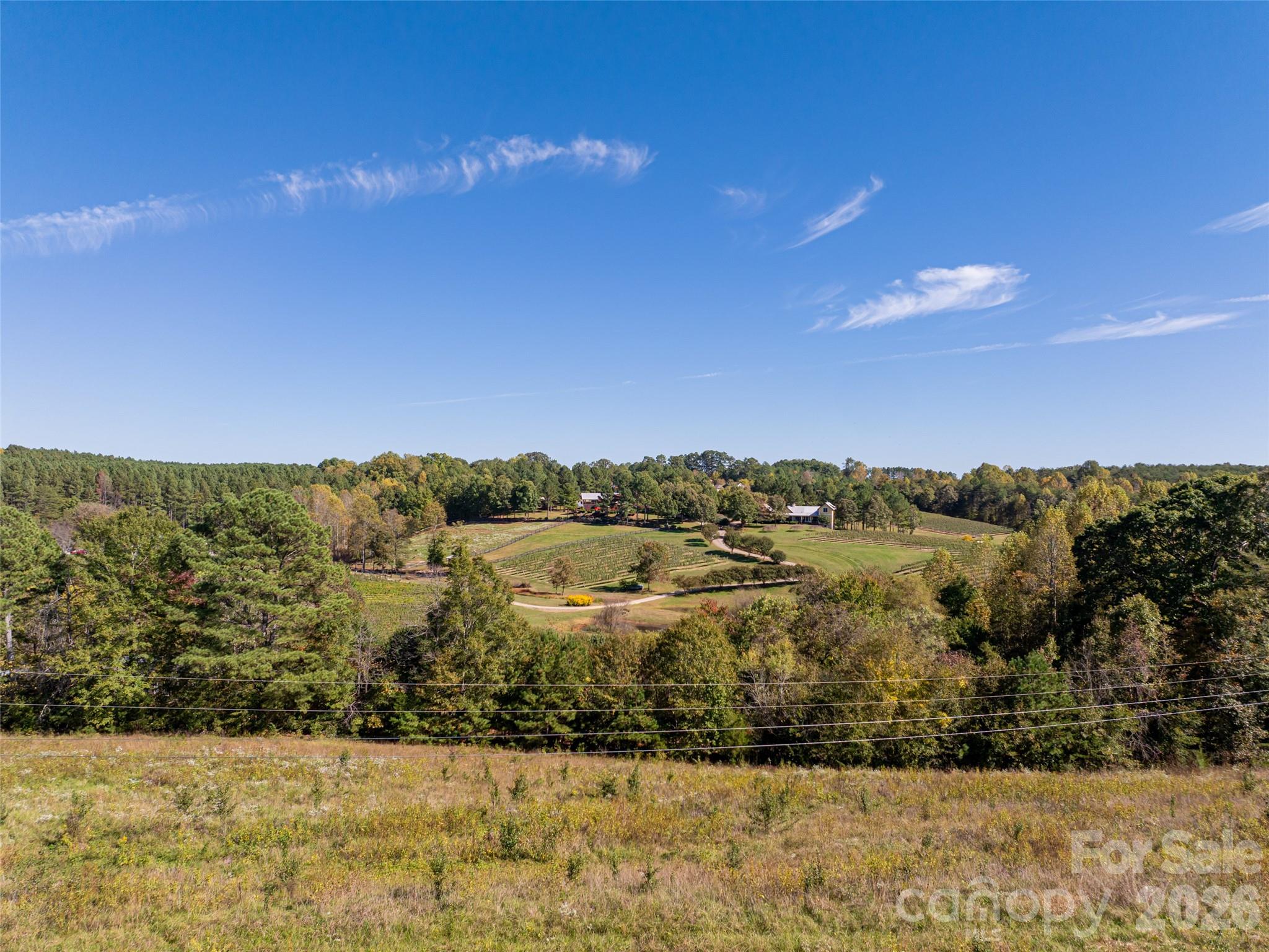 Acreage at 0 E NC Hwy 108 None, Mill Spring, photo 18 of 34