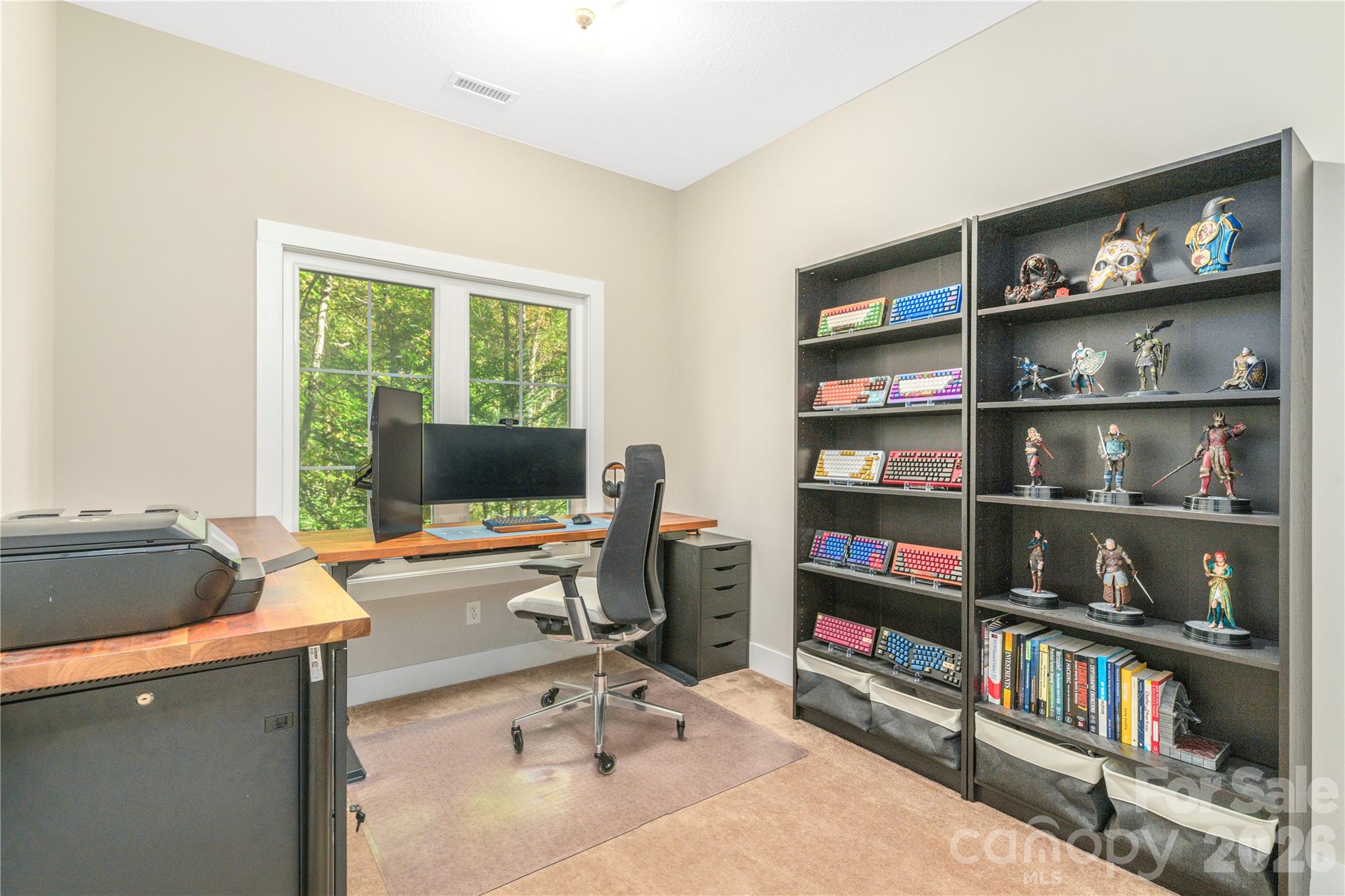 Lower Level Bedroom 2: Currently being used as an office - 5 Goodman Road, Asheville