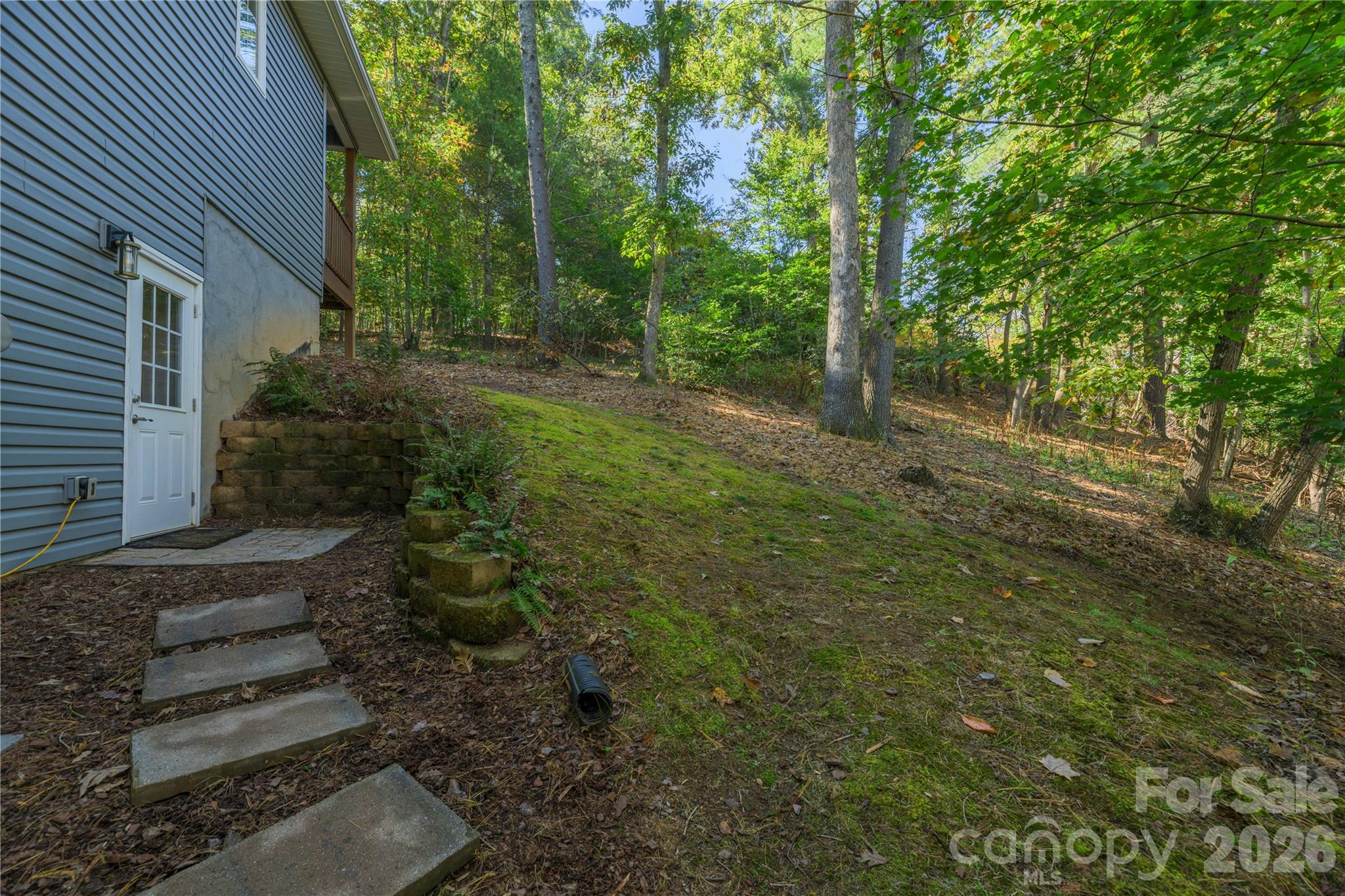 Walk out exit into the mossy side yard. - 5 Goodman Road, Asheville