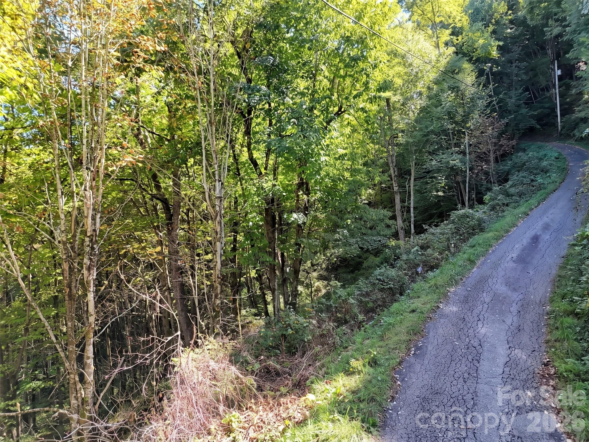 Lot at 00 Buckeye Haven Road, Maggie Valley, photo 3 of 14