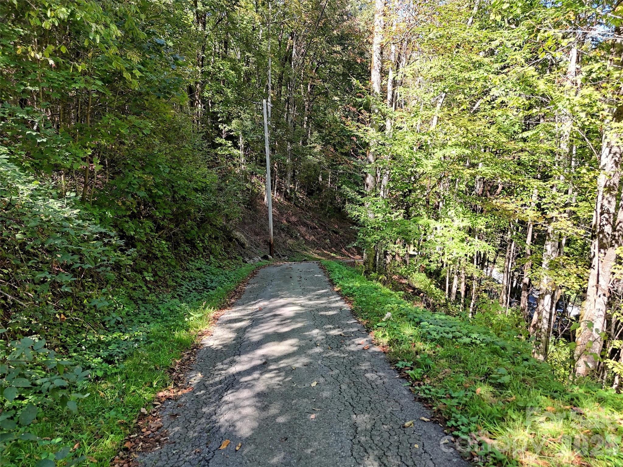 Lot at 00 Buckeye Haven Road, Maggie Valley, photo 4 of 14