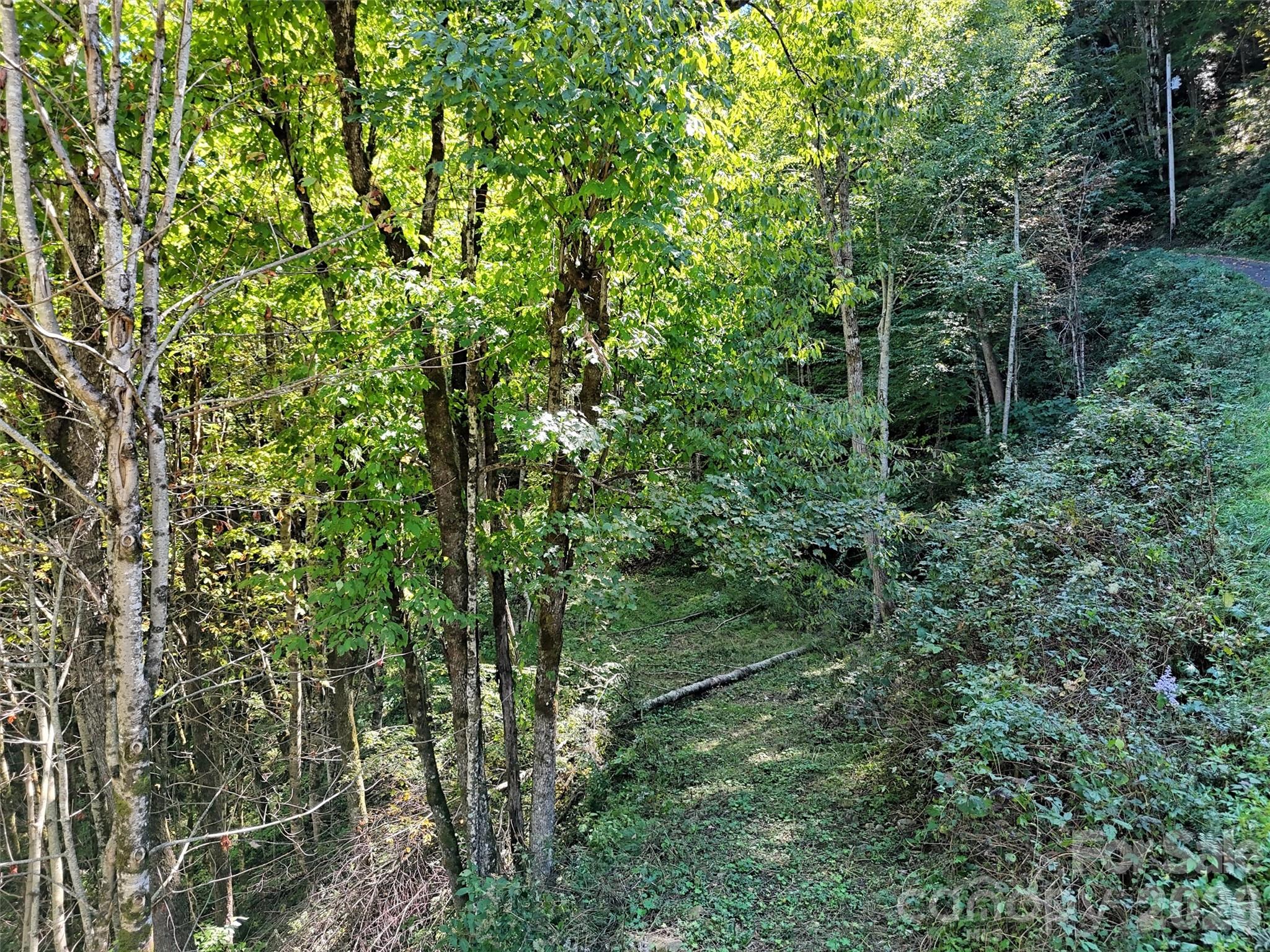 Lot at 00 Buckeye Haven Road, Maggie Valley, photo 6 of 14