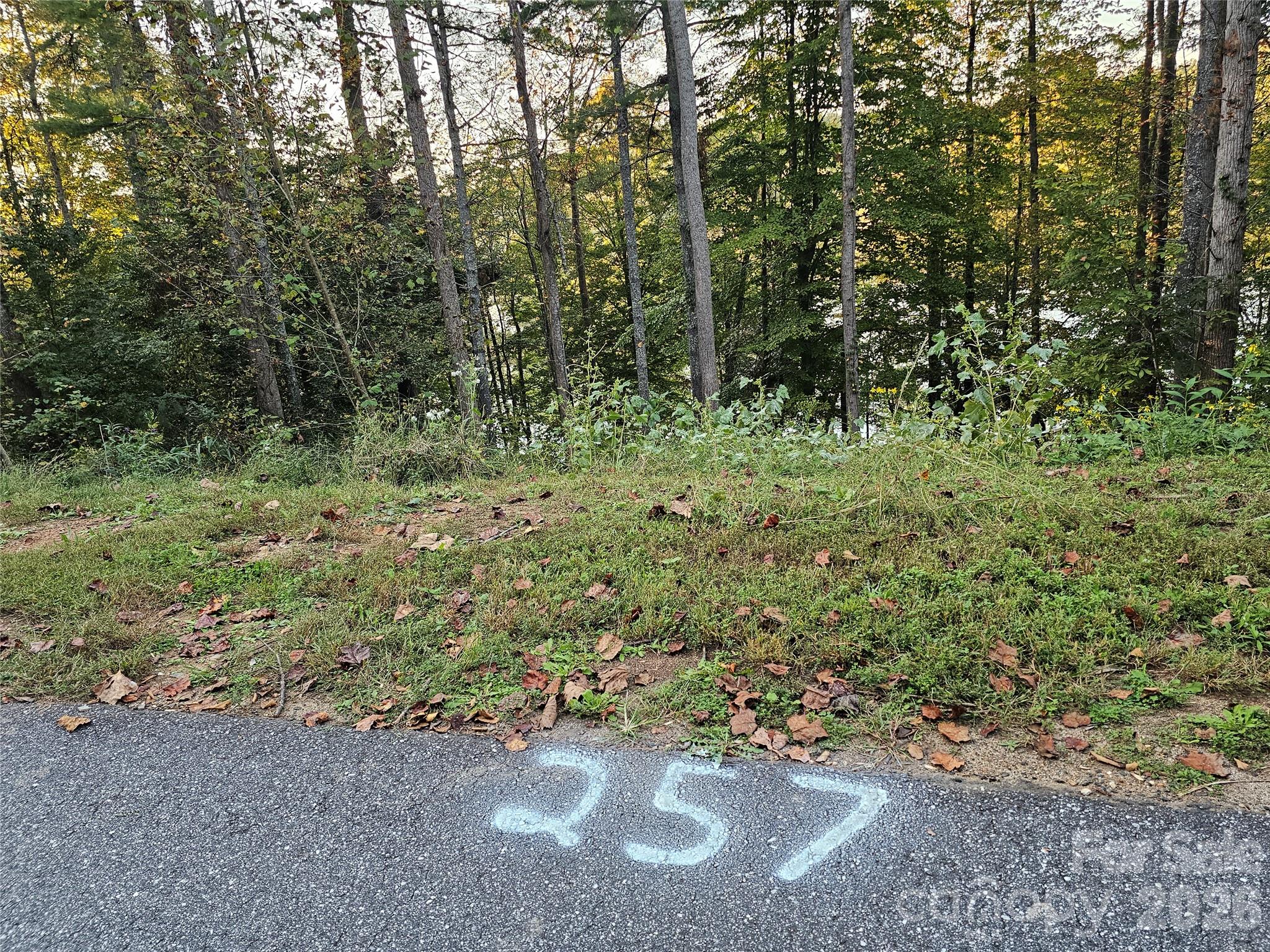 Lot 257 ckeared and ready to build - 524 E Settings Boulevard NW, Valdese