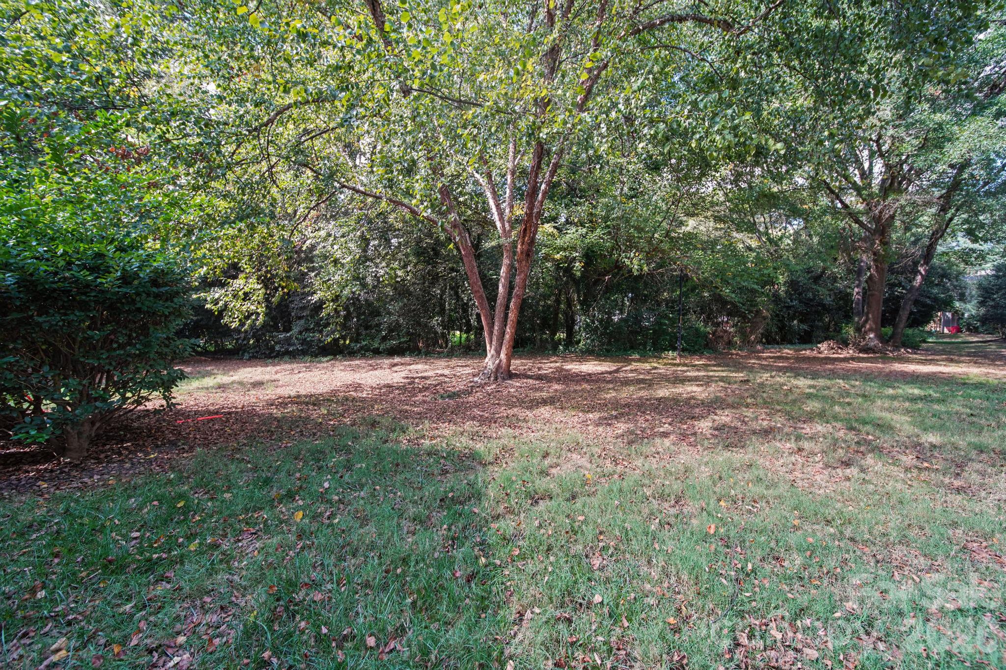 View from Patio - 3302 Selwyn Farms Lane, Charlotte