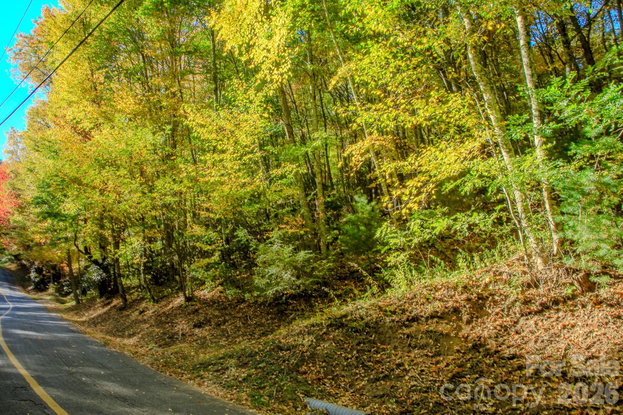 From the road - 0000 Laurel Ridge Road N, Maggie Valley
