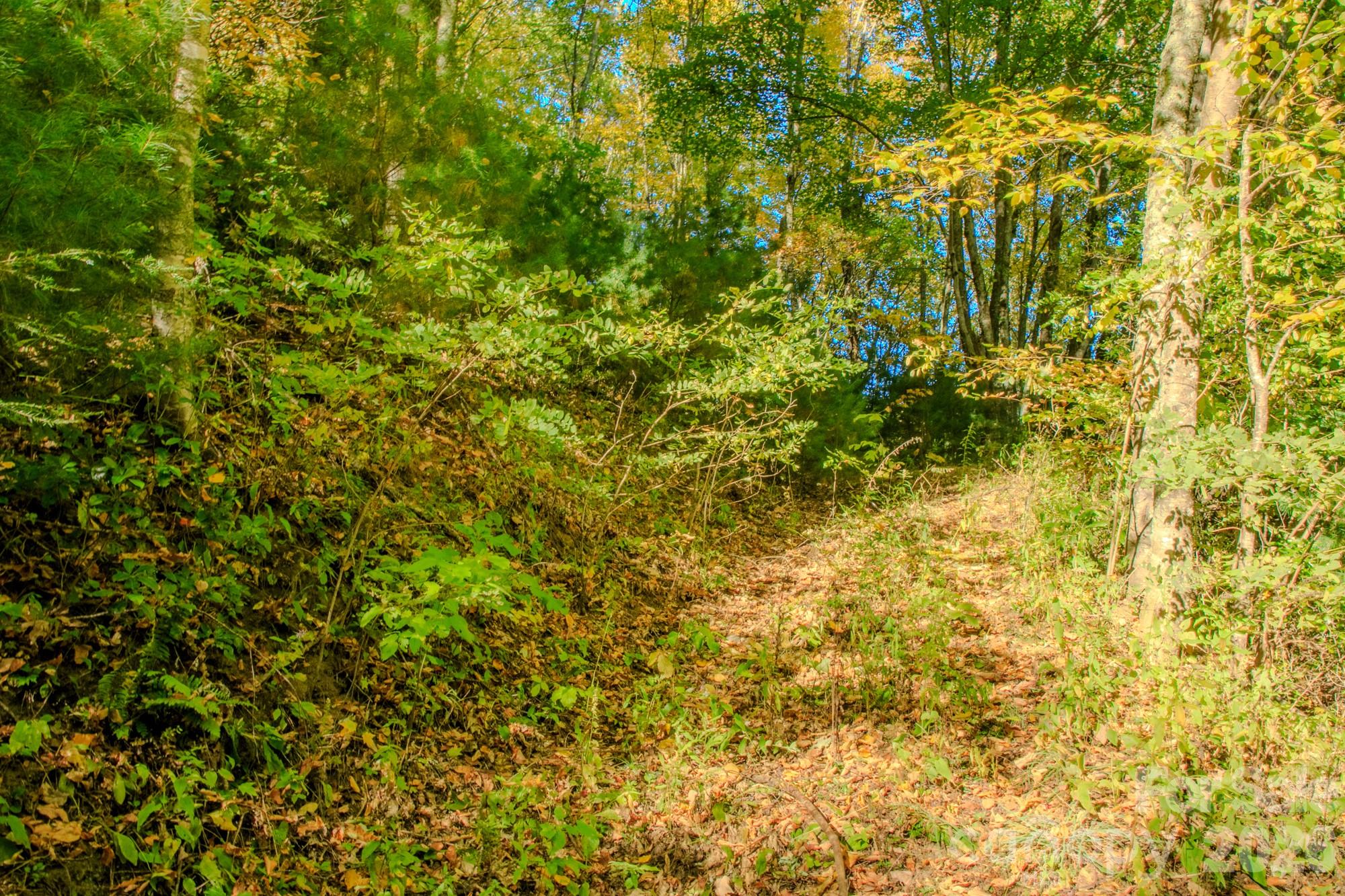 Older driveway cut into the lot - 0000 Laurel Ridge Road N, Maggie Valley
