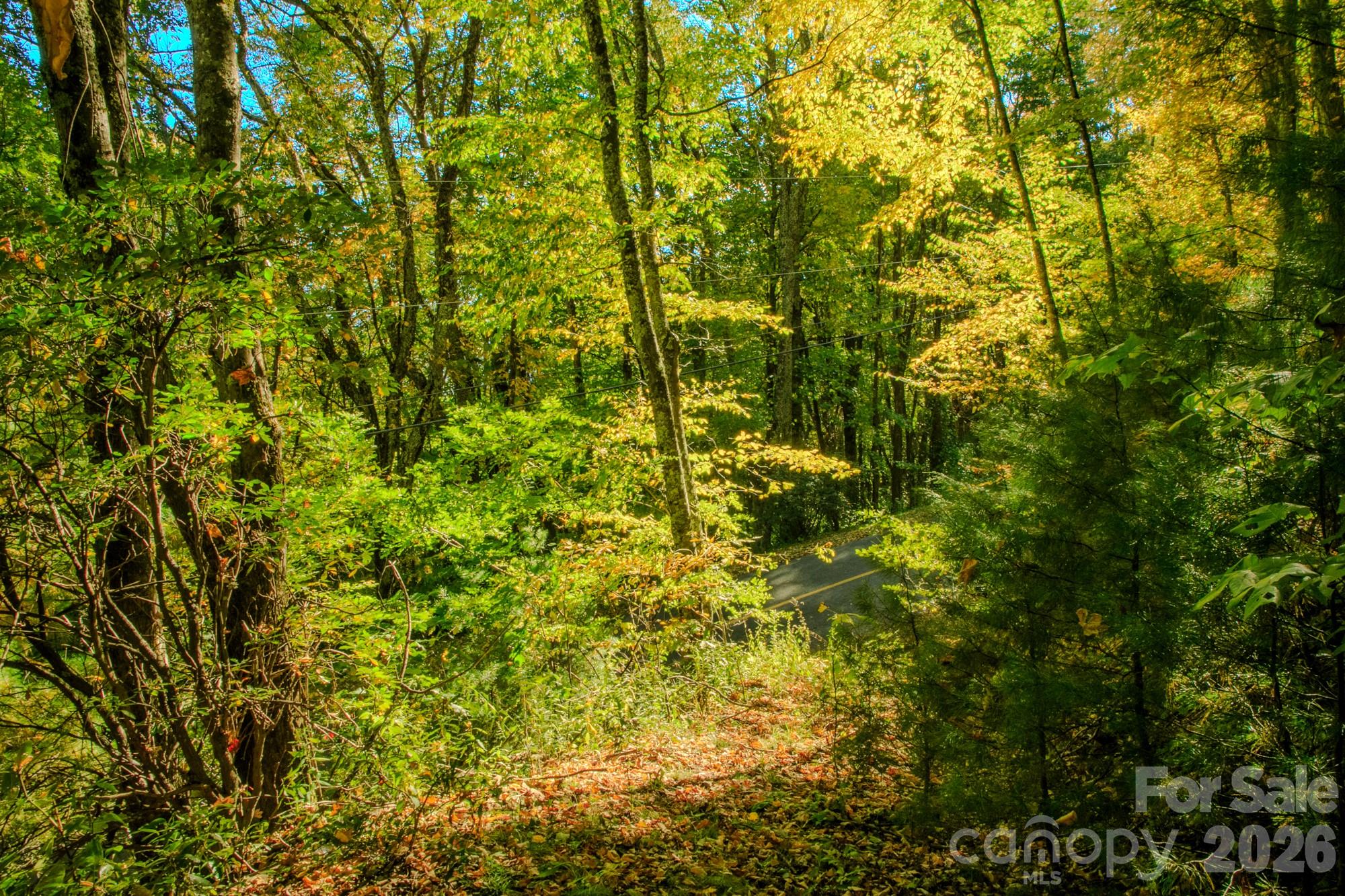 From the driveway looking toward the road. - 0000 Laurel Ridge Road N, Maggie Valley