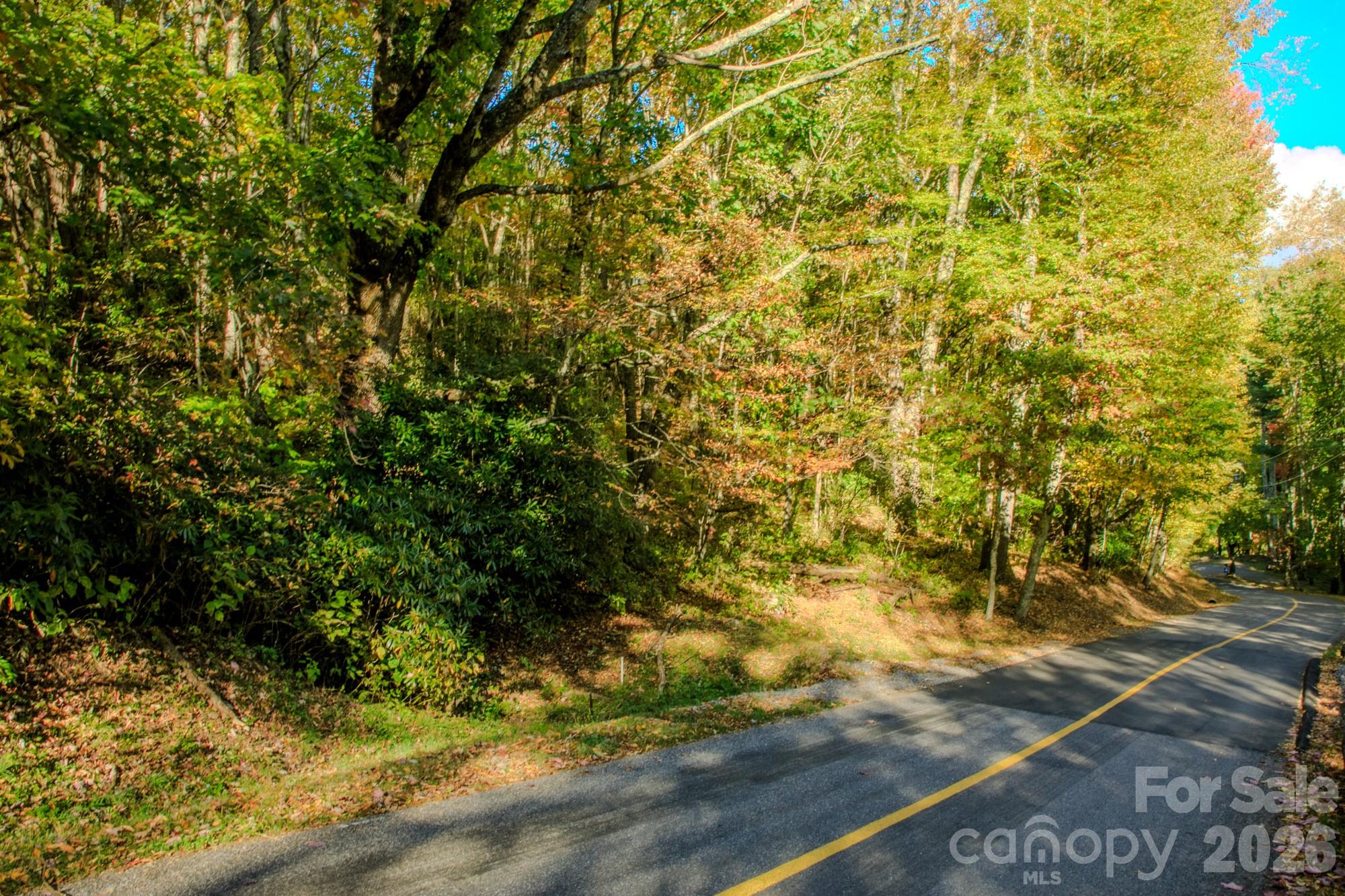 Looking down the road - 0000 Laurel Ridge Road N, Maggie Valley