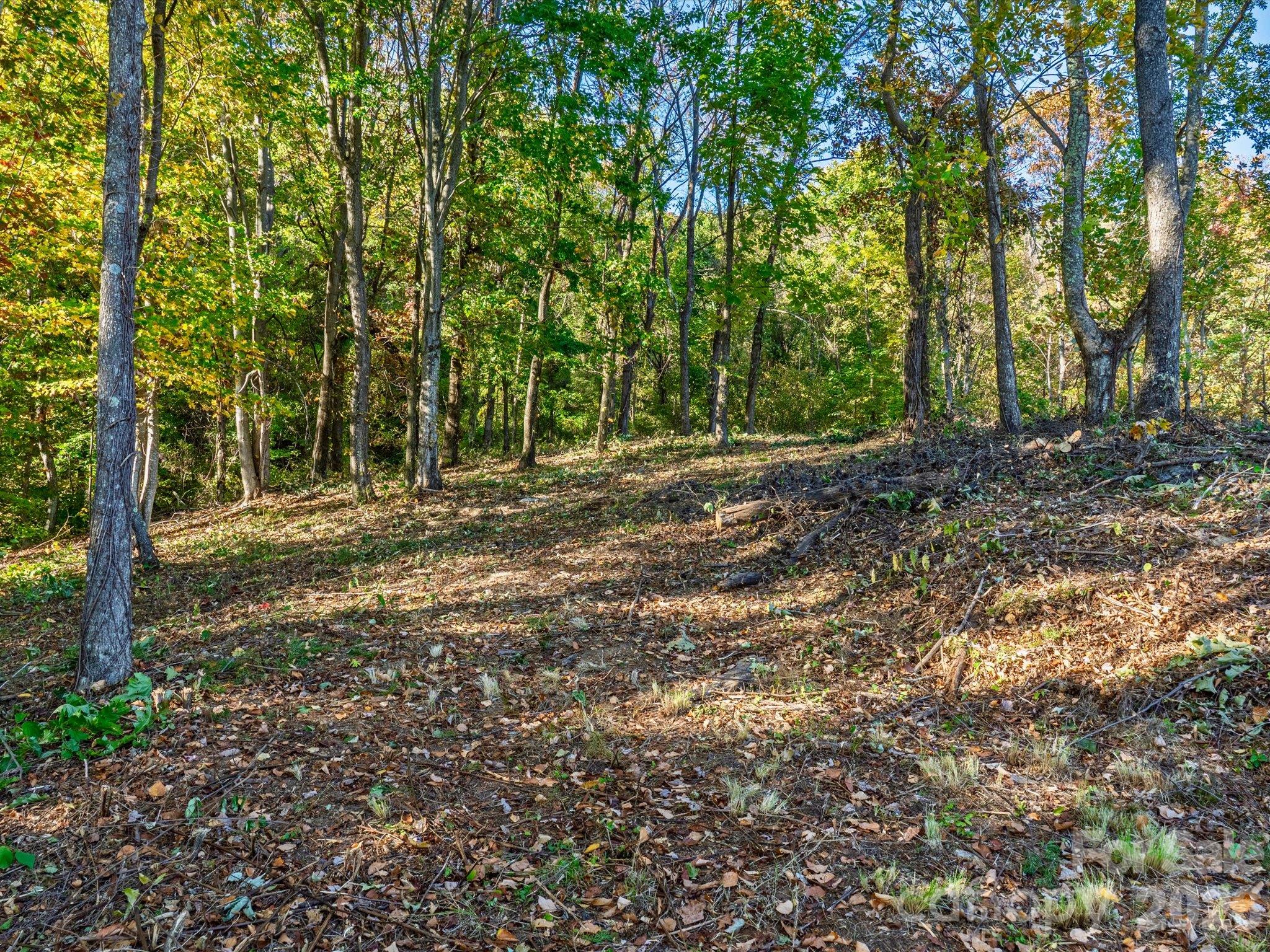 Private wooded lot - 42 High Rock View Drive, Canton