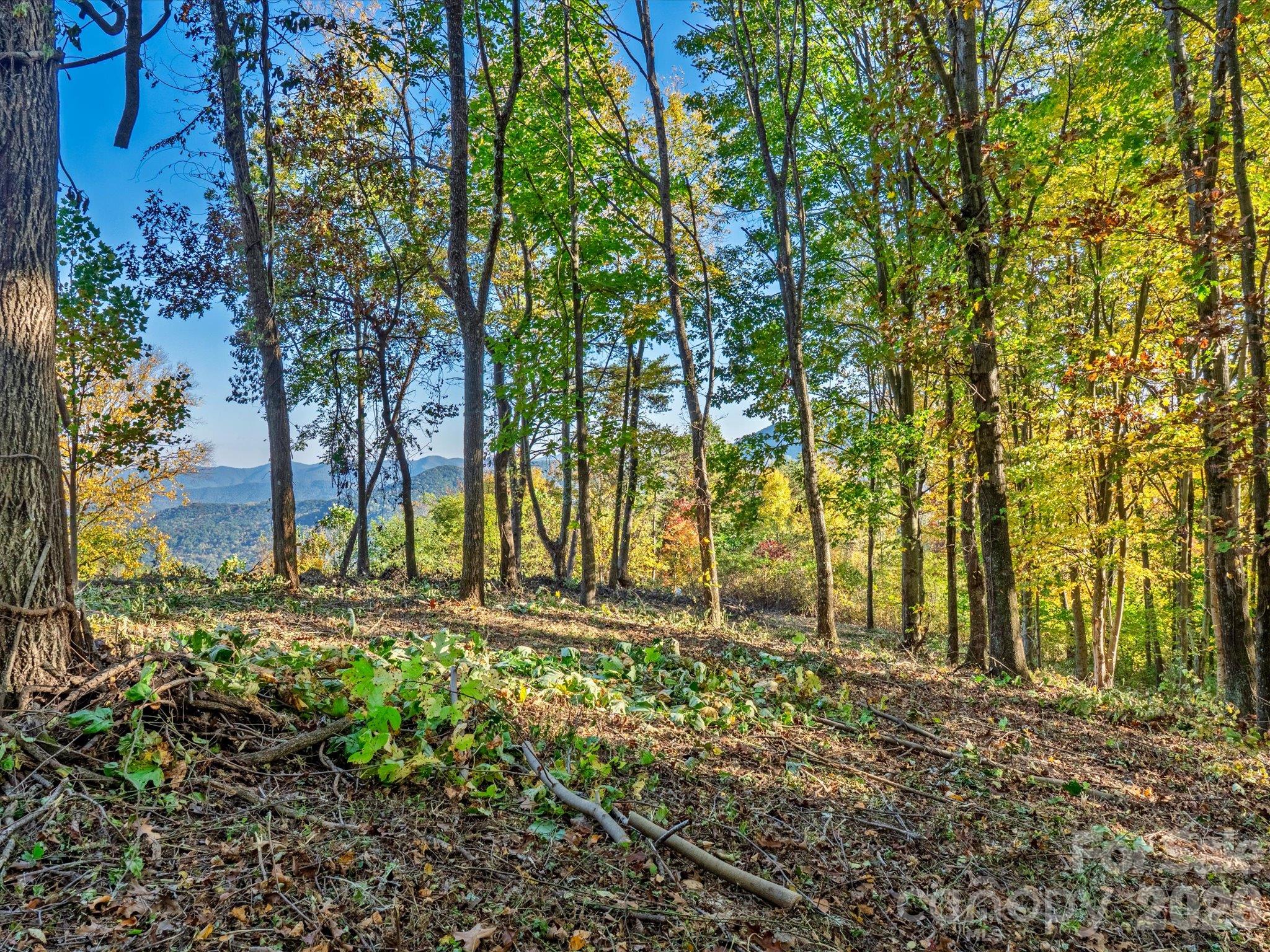 Panoramic views from the lot - 42 High Rock View Drive, Canton